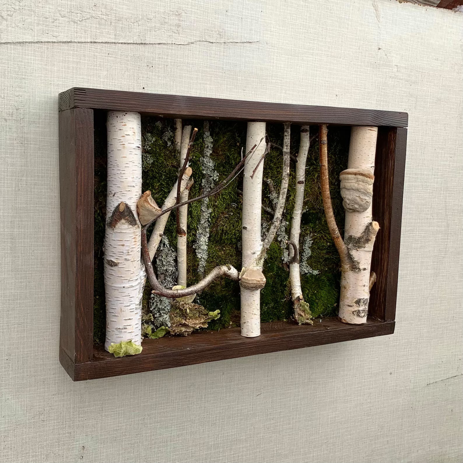Birch Tree Moss Wall Art – Handmade Forestcore Wall Decor with Natural Birch Branches