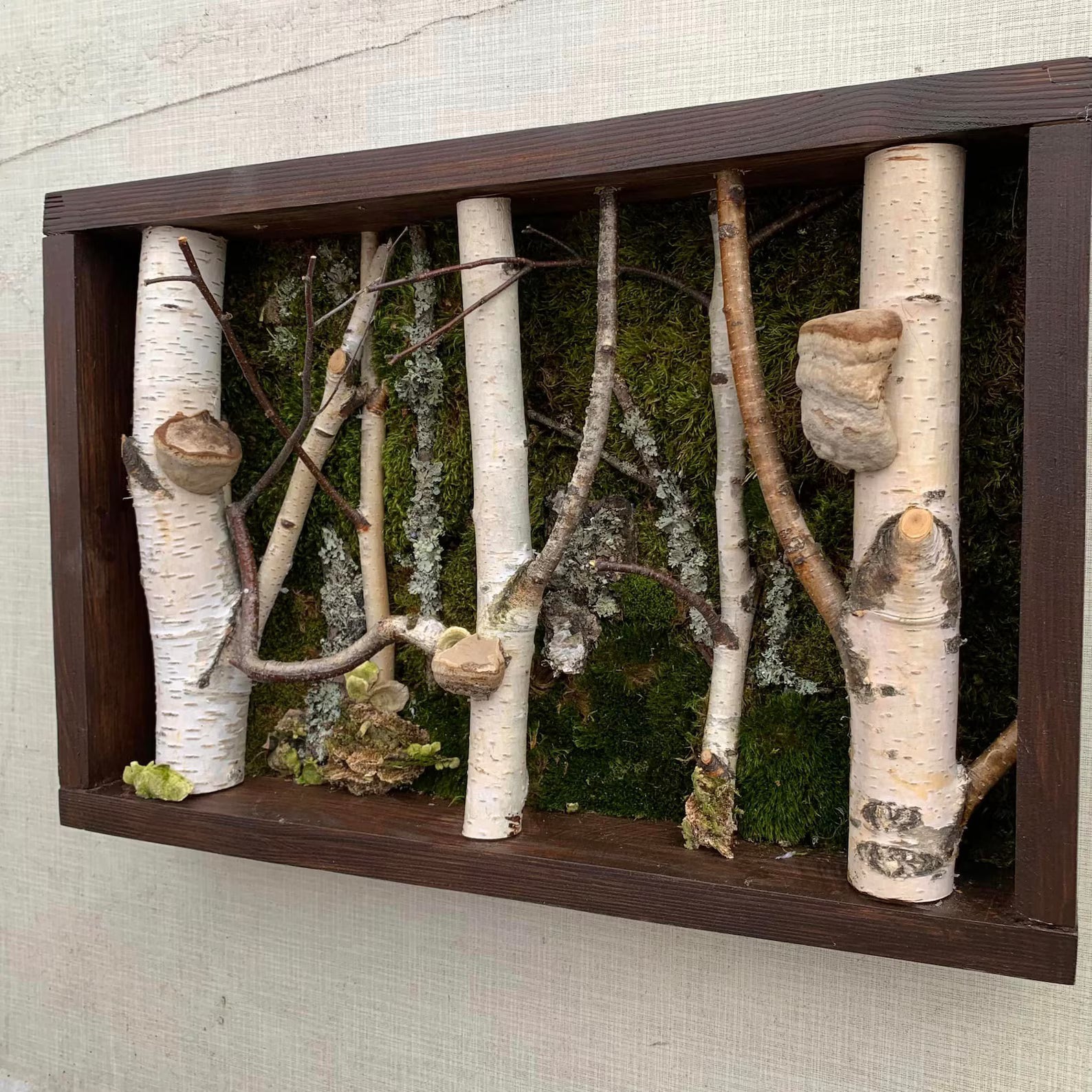 Birch Tree Moss Wall Art – Handmade Forestcore Wall Decor with Natural Birch Branches