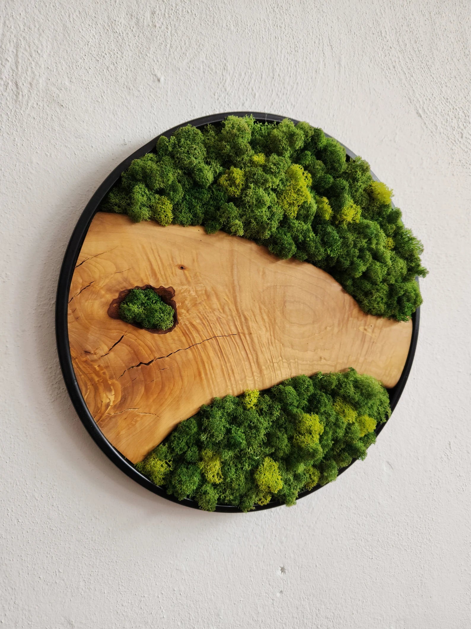 Moss and Olive Wood Wall Art with Metal Frame – Preserved Stabilized Moss Wall Decor for Home or Office
