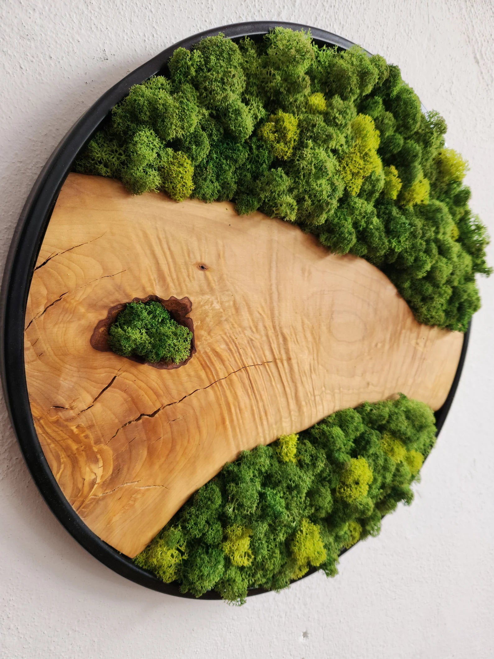 Moss and Olive Wood Wall Art with Metal Frame – Preserved Stabilized Moss Wall Decor for Home or Office