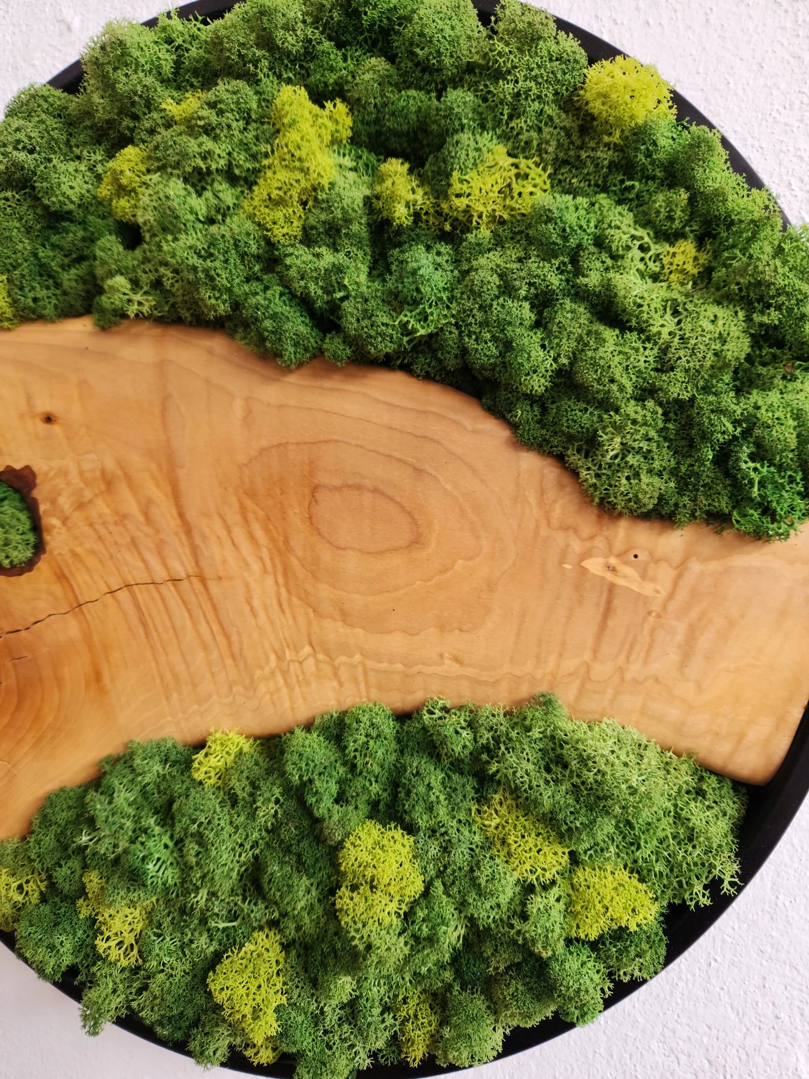 Moss and Olive Wood Wall Art with Metal Frame – Preserved Stabilized Moss Wall Decor for Home or Office
