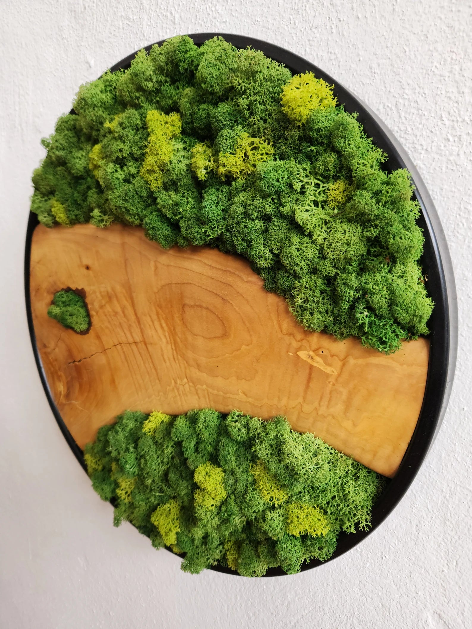 Moss and Olive Wood Wall Art with Metal Frame – Preserved Stabilized Moss Wall Decor for Home or Office