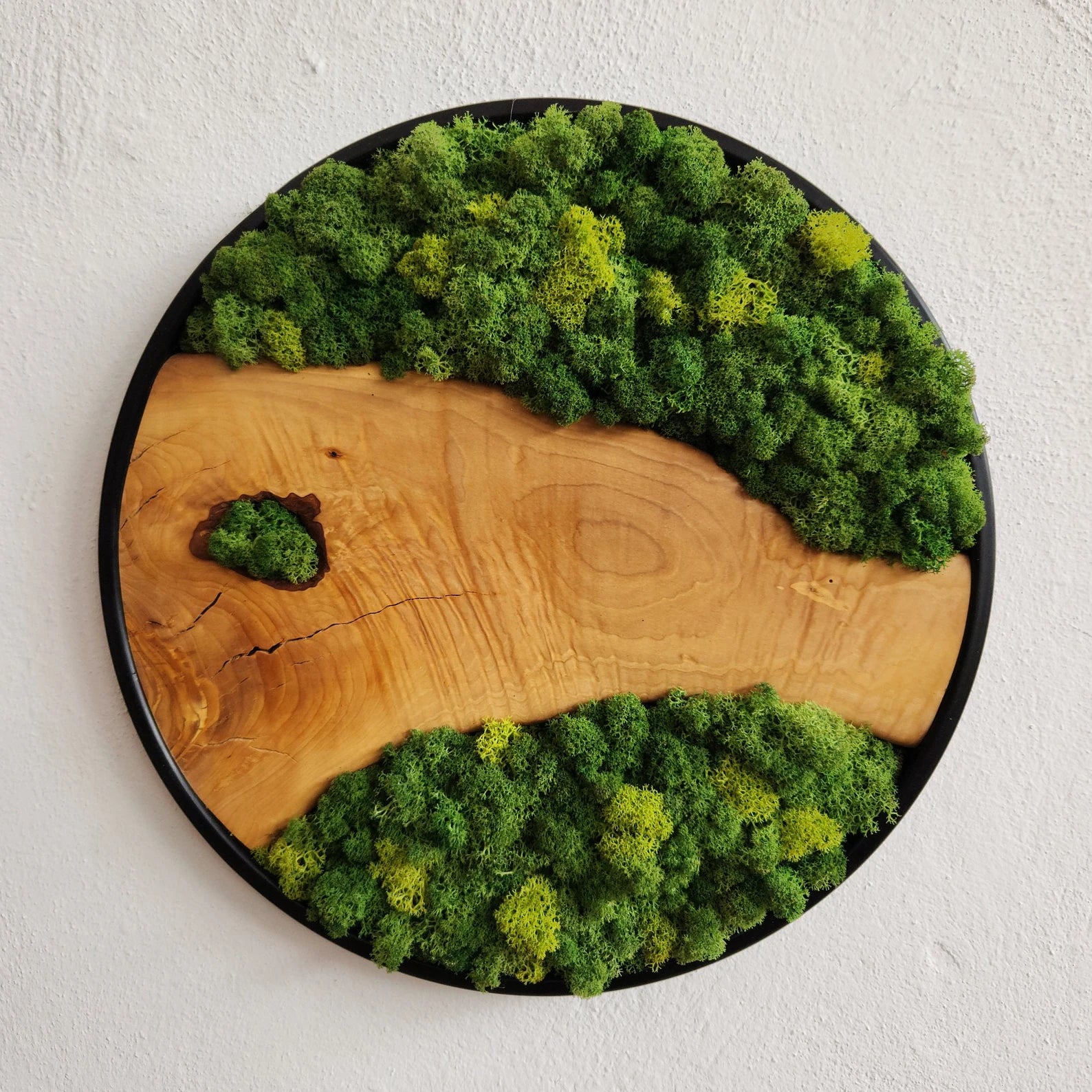 Moss and Olive Wood Wall Art with Metal Frame – Preserved Stabilized Moss Wall Decor for Home or Office