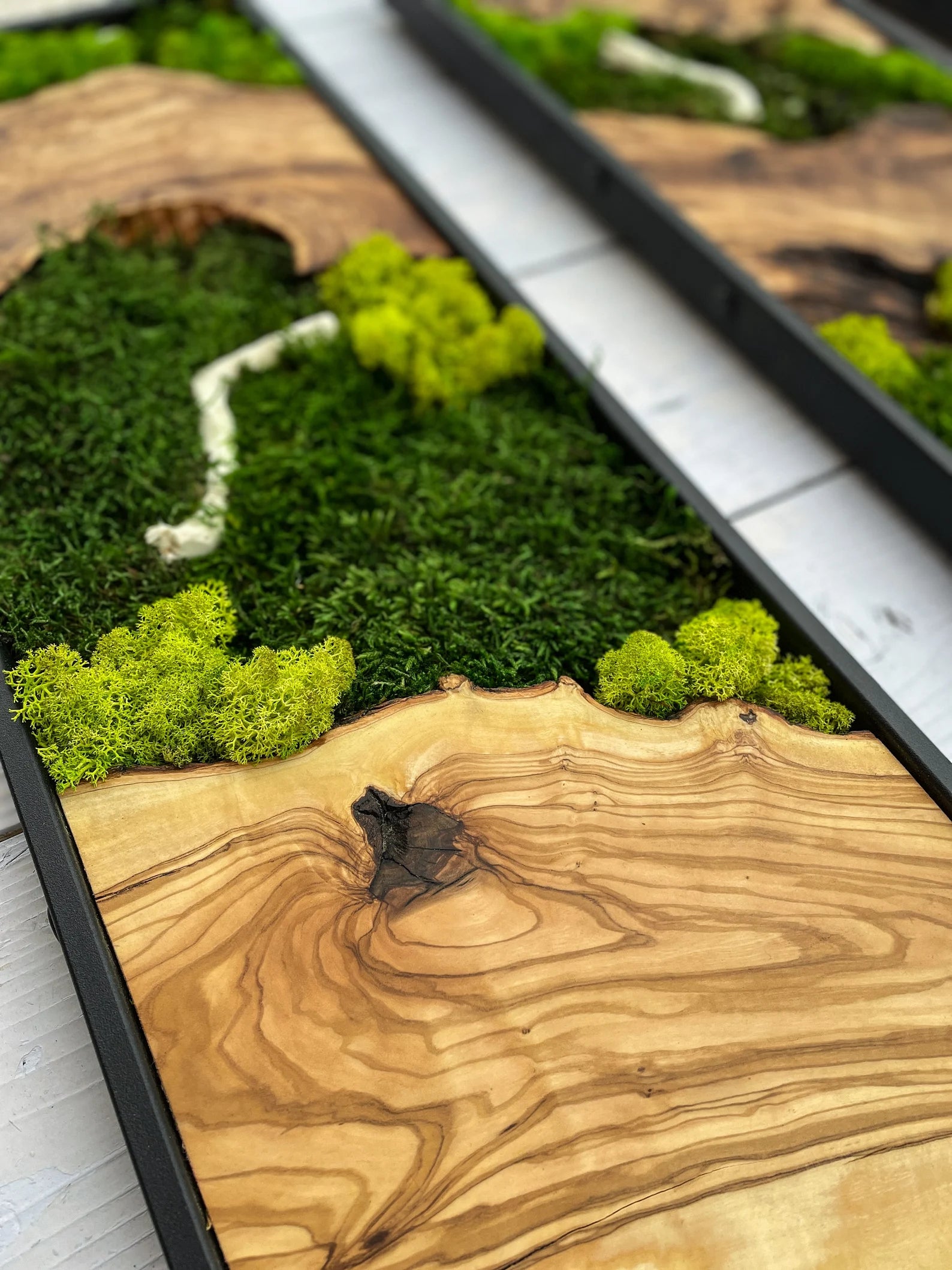 Moss Wall Art – Preserved Moss & Wood Wall Decor for Home and Office
