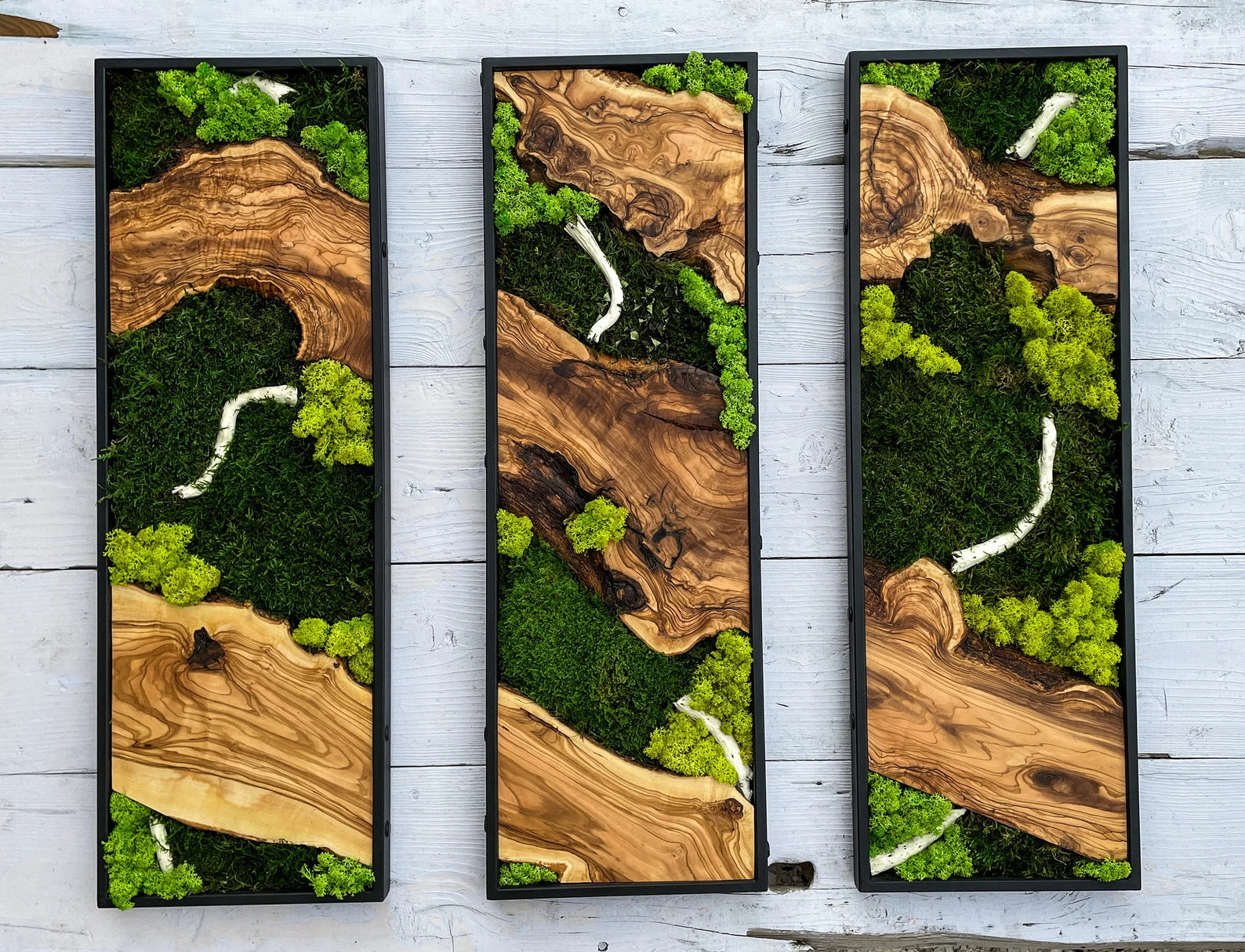 Moss Wall Art – Preserved Moss & Wood Wall Decor for Home and Office