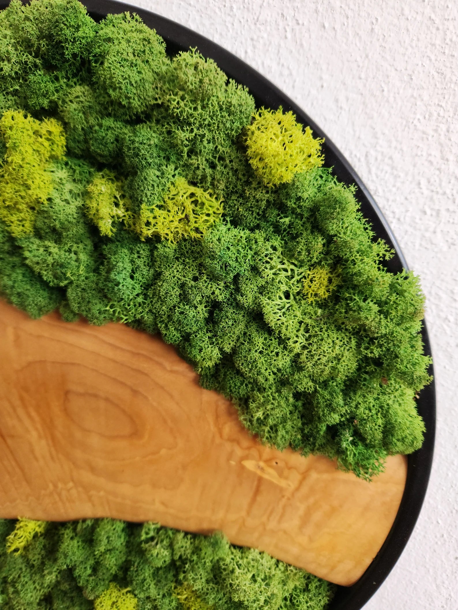 Moss and Olive Wood Wall Art with Metal Frame – Preserved Stabilized Moss Wall Decor for Home or Office