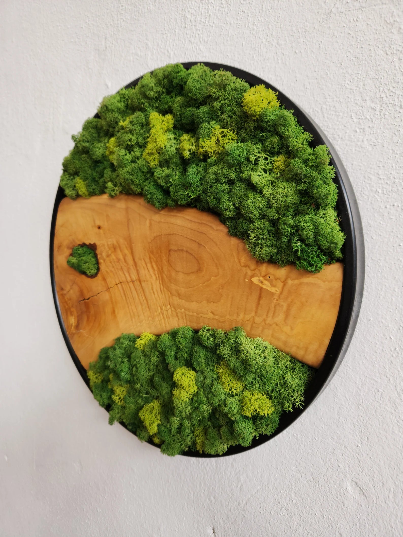Moss and Olive Wood Wall Art with Metal Frame – Preserved Stabilized Moss Wall Decor for Home or Office