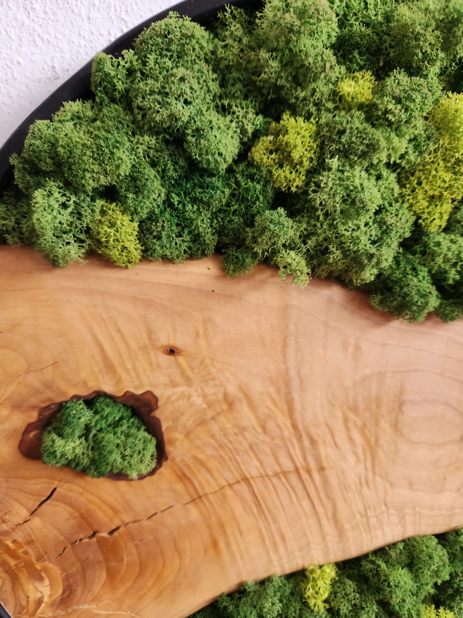 Moss and Olive Wood Wall Art with Metal Frame – Preserved Stabilized Moss Wall Decor for Home or Office