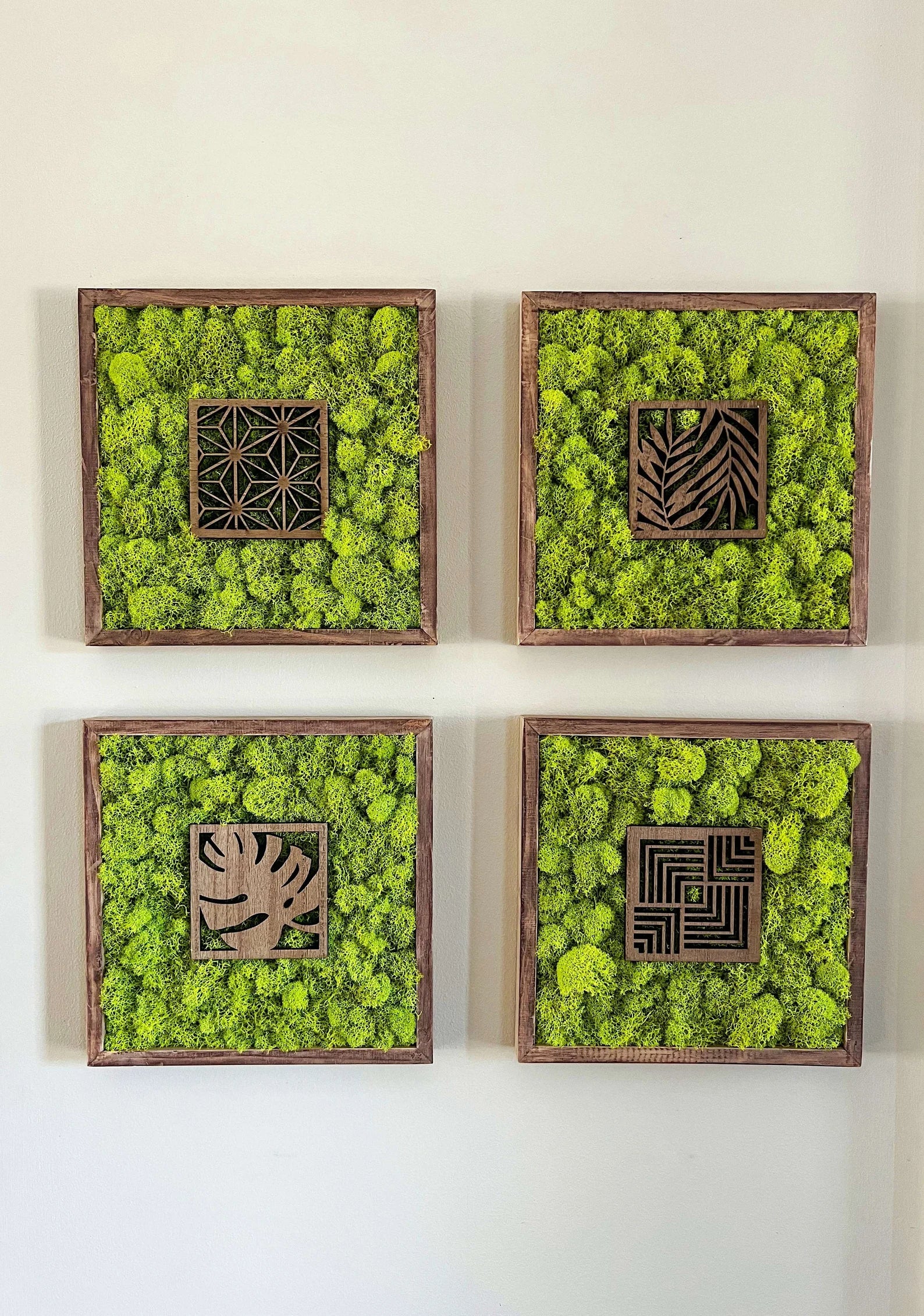 Moss Wall Art – Preserved Moss Art with Natural Wood Frame