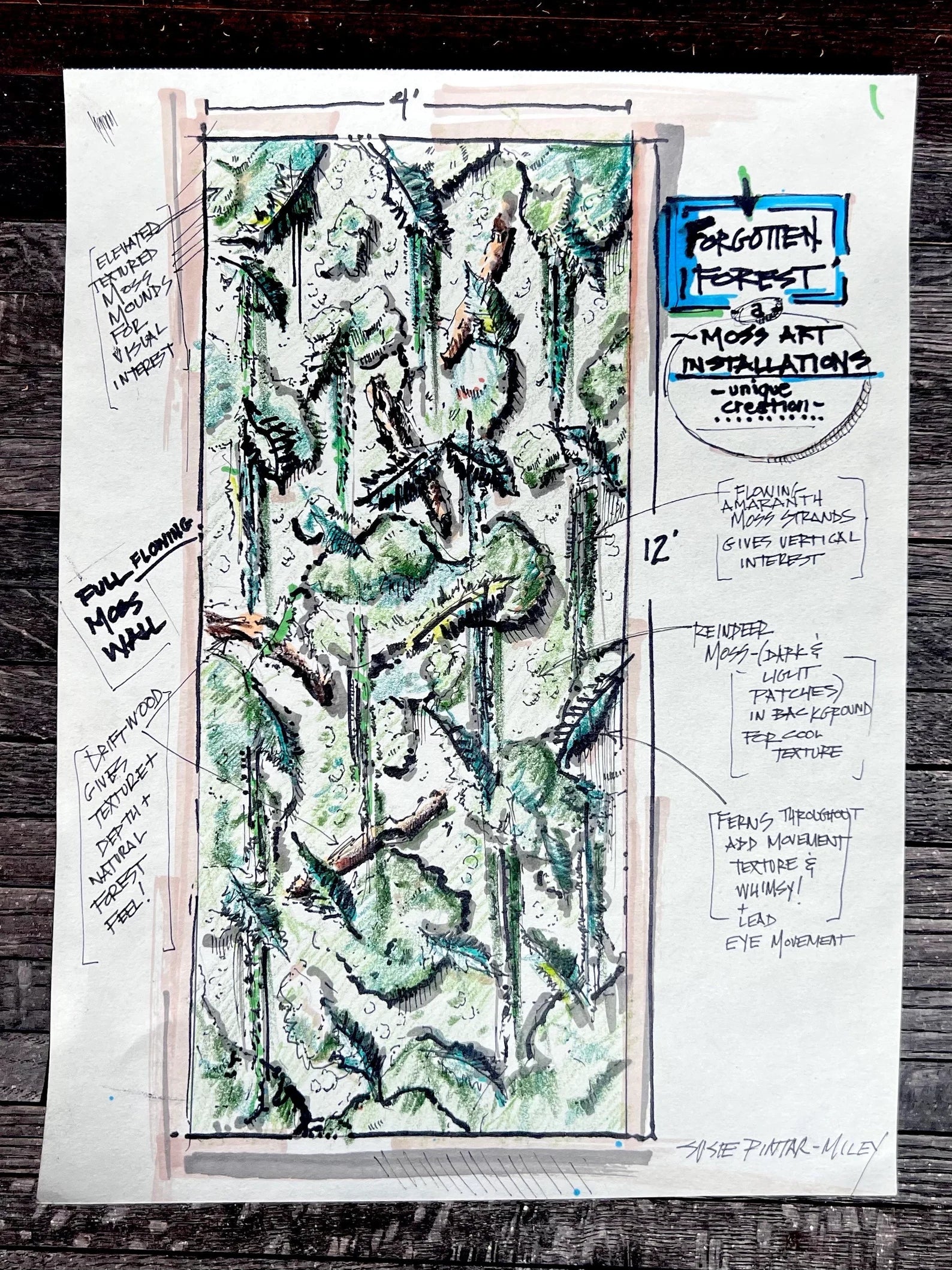 The Forgotten Forest – Preserved Moss Wall Art with Grapewood & Amaranths