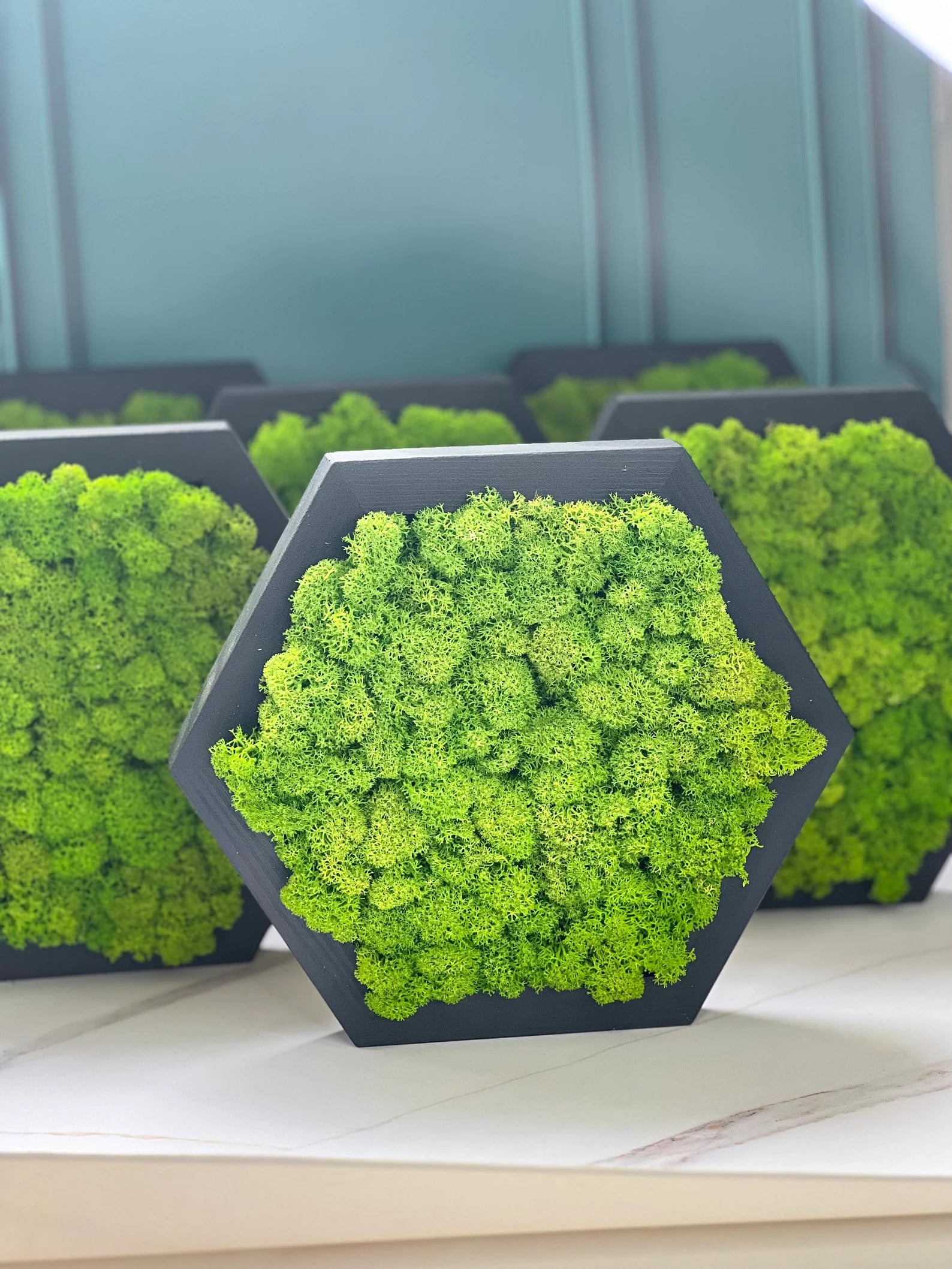 Honeycomb Moss Wall Art – Wooden Hexagon Decor with Preserved Green Moss for Home & Office