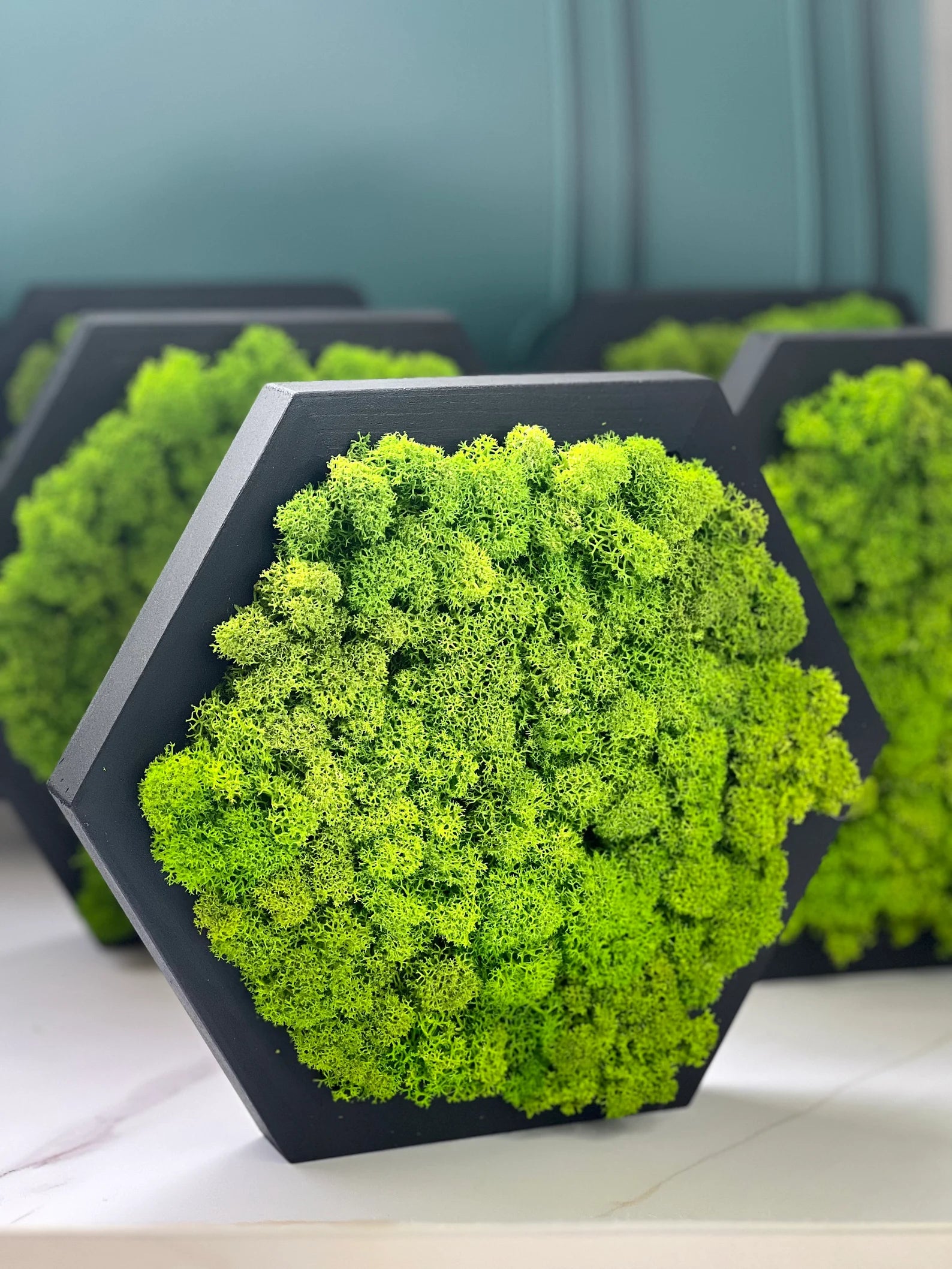 Honeycomb Moss Wall Art – Wooden Hexagon Decor with Preserved Green Moss for Home & Office