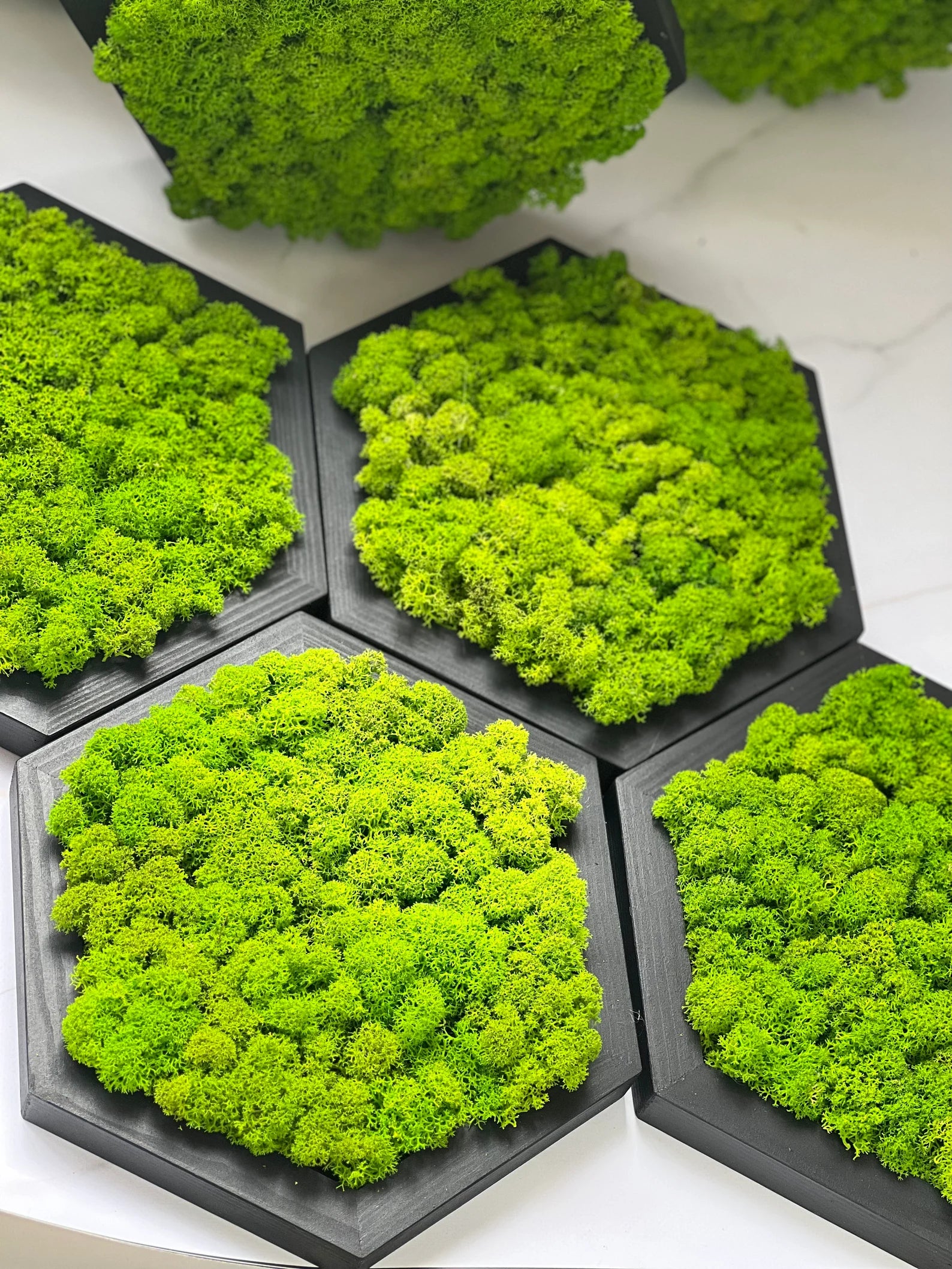 Honeycomb Moss Wall Art – Wooden Hexagon Decor with Preserved Green Moss for Home & Office