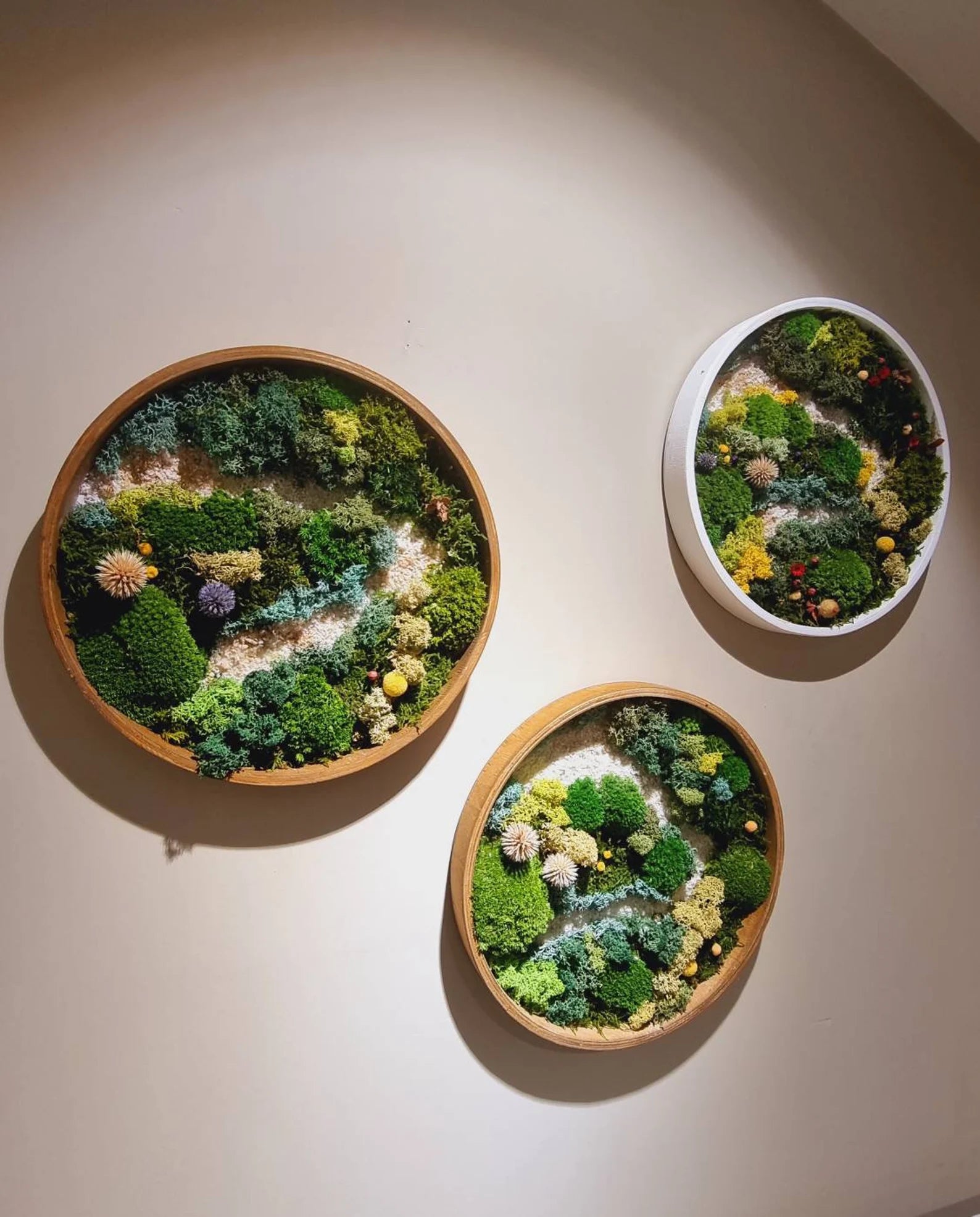 Moss Wall Art Set of Three – Preserved Round Green Wall Decor | Nature-Inspired Living Art for Home