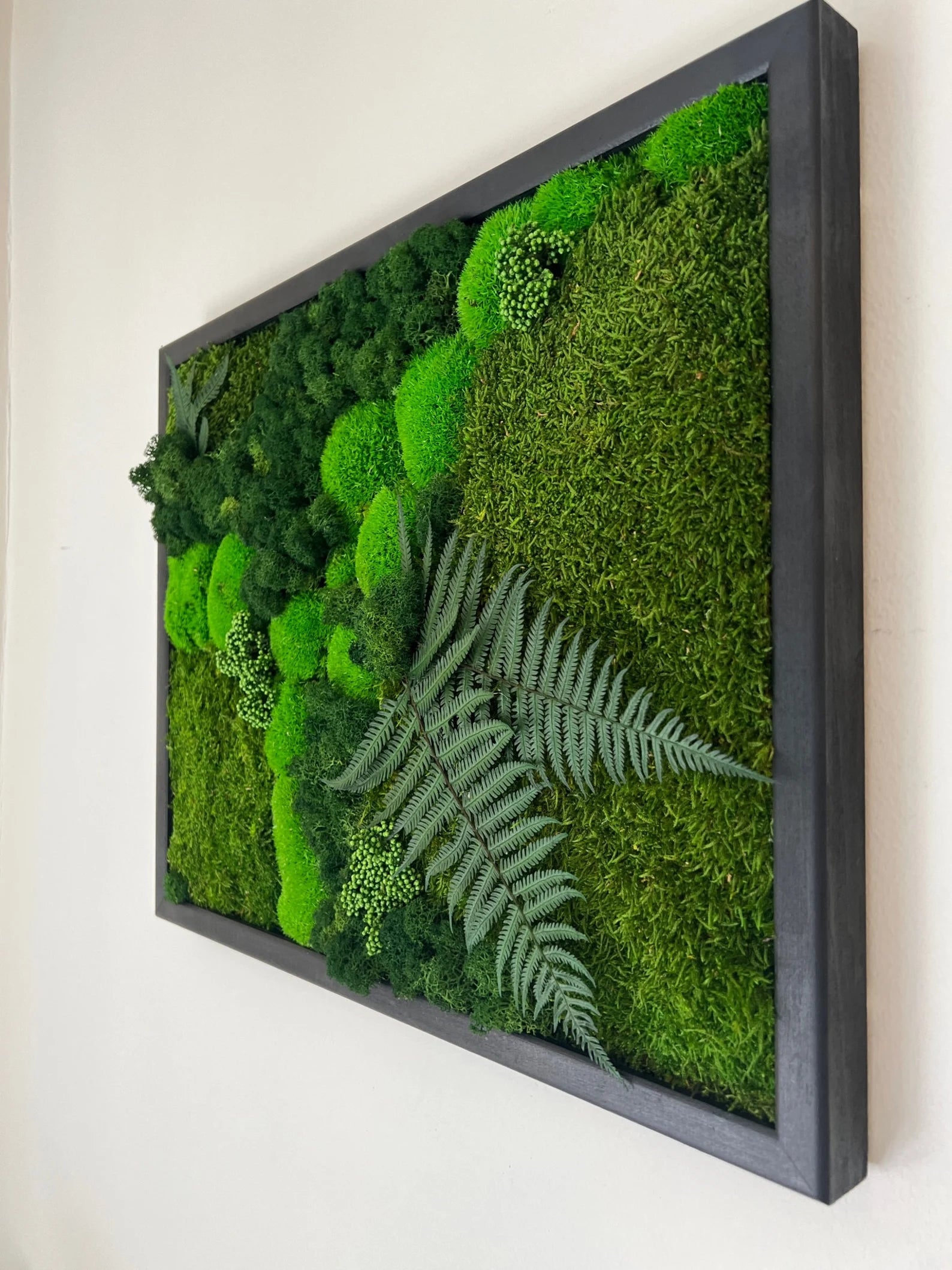 Moss Wall Art – Preserved Moss Frame with Pole Moss, Sheet Moss, Fern & Reindeer Moss