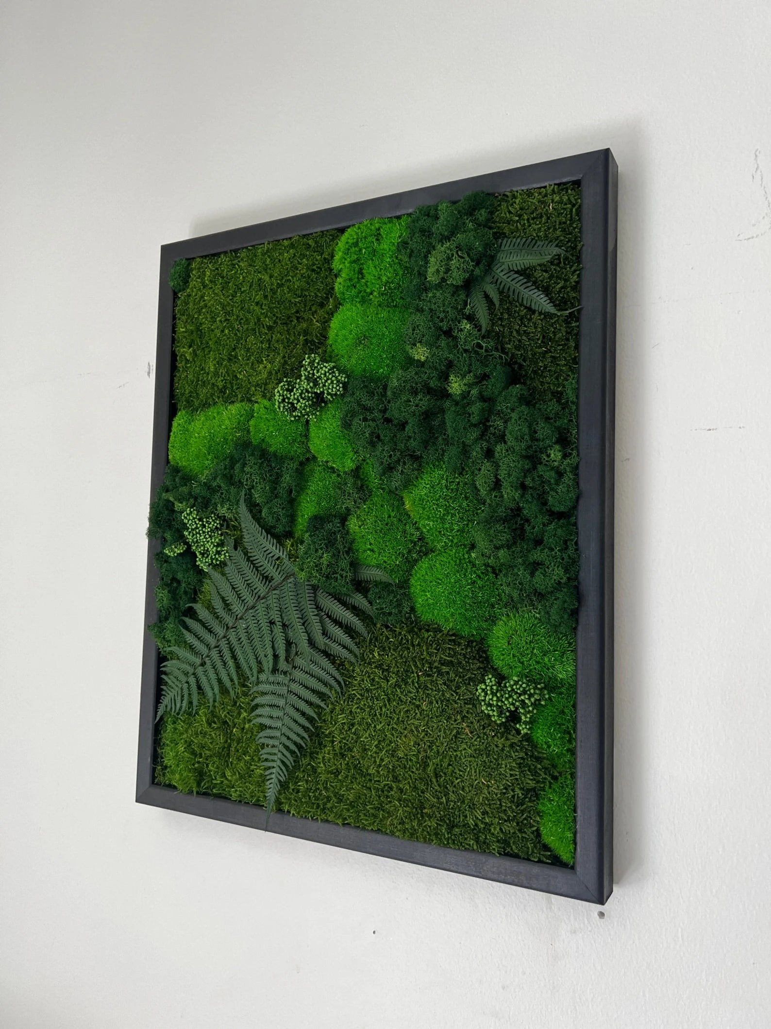 Moss Wall Art – Preserved Moss Frame with Pole Moss, Sheet Moss, Fern & Reindeer Moss