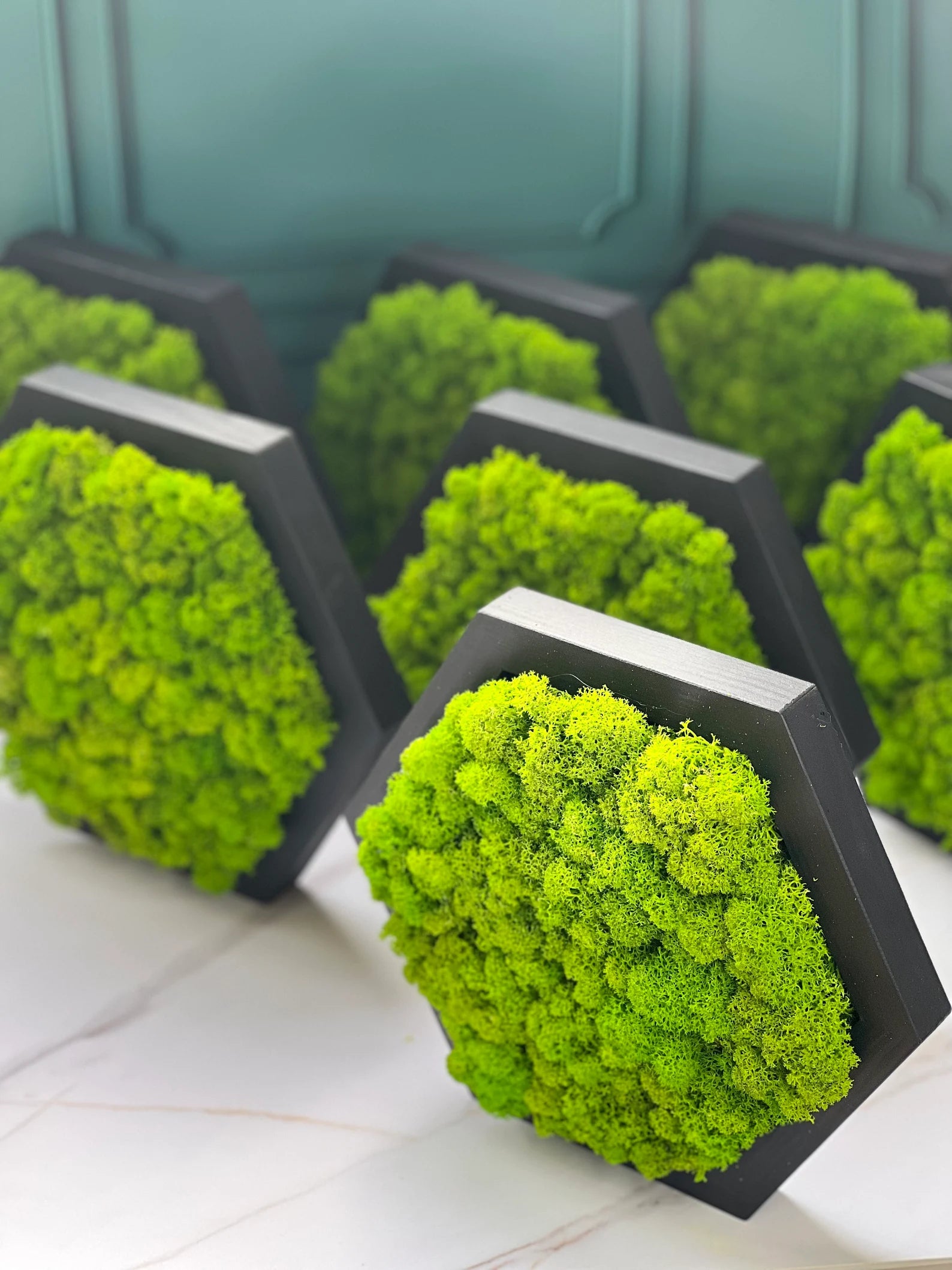 Honeycomb Moss Wall Art – Wooden Hexagon Decor with Preserved Green Moss for Home & Office