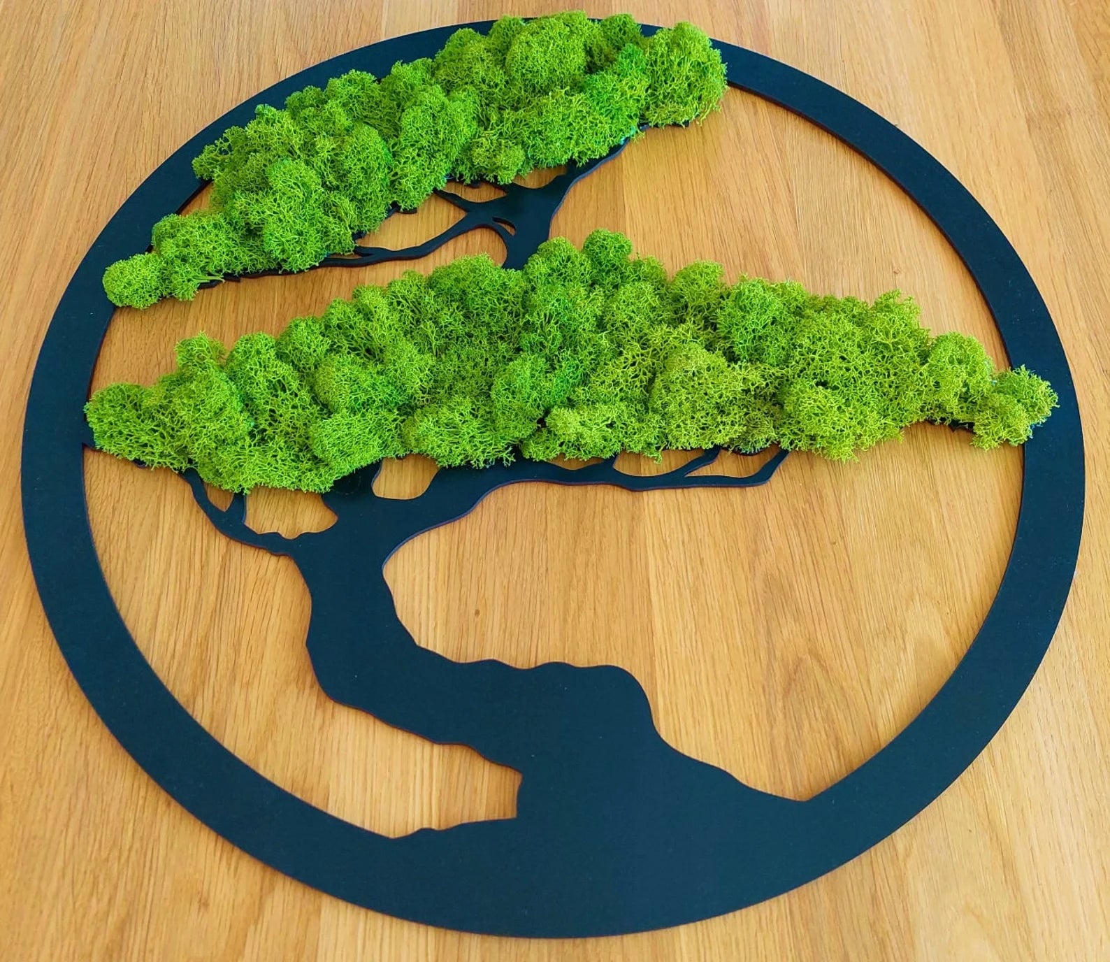Round Live Moss Wall Art – Large Green Bonsai Tree | Eco-Friendly Handmade Home Decoration