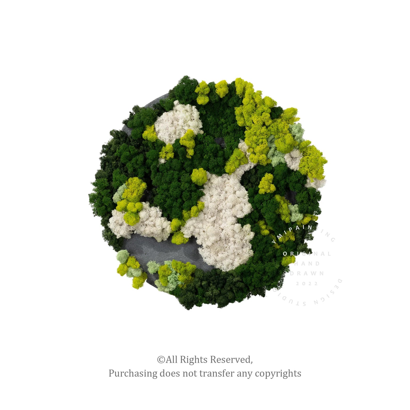 Botanical Moss Wall Art in Frame – Unique Green Living Decor