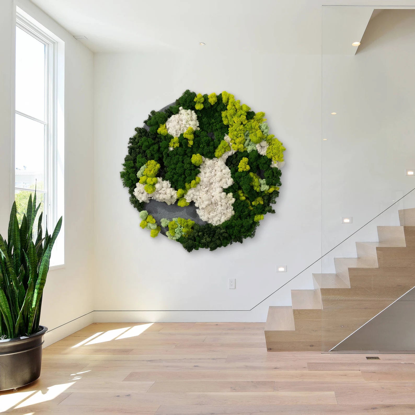 Botanical Moss Wall Art in Frame – Unique Green Living Decor