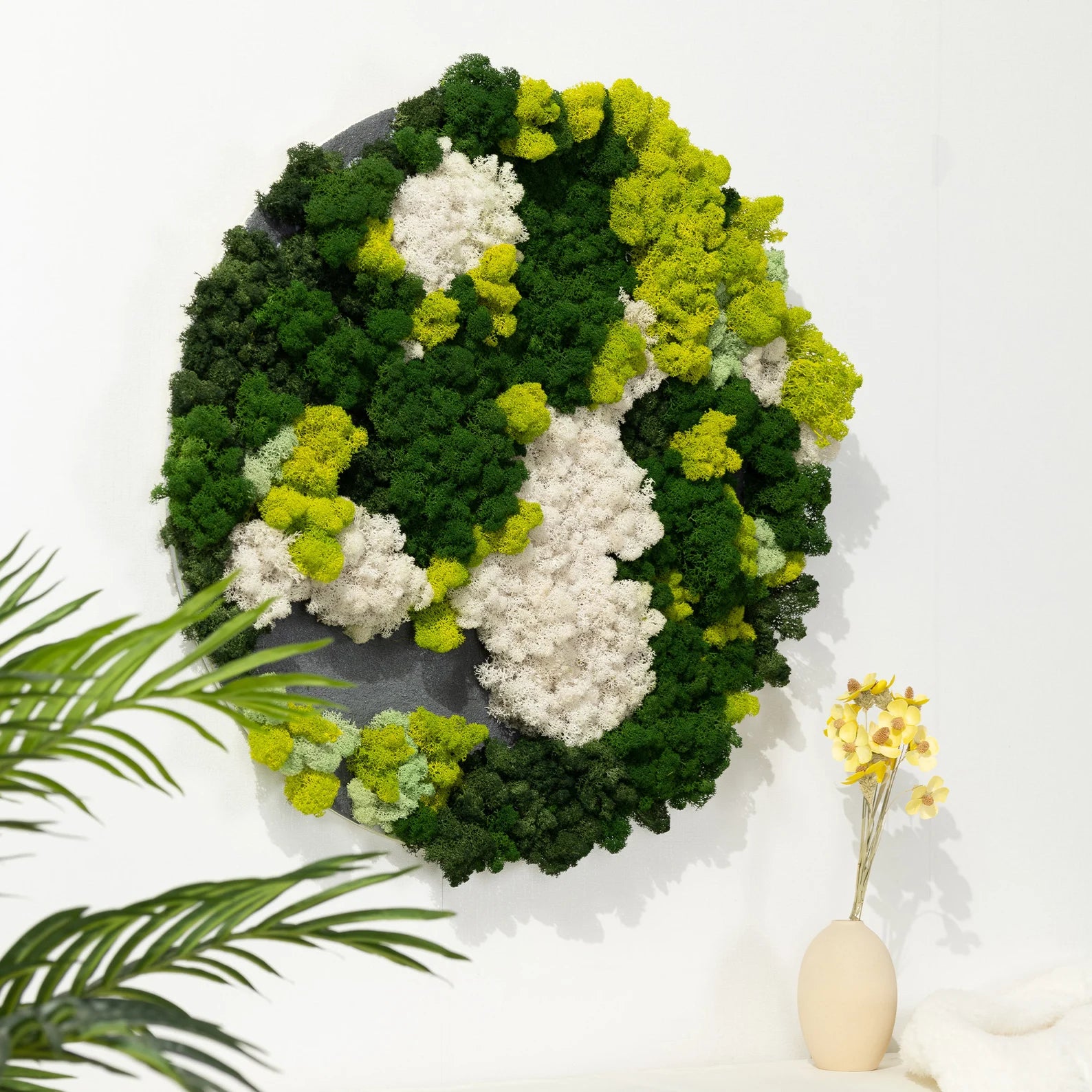Botanical Moss Wall Art in Frame – Unique Green Living Decor