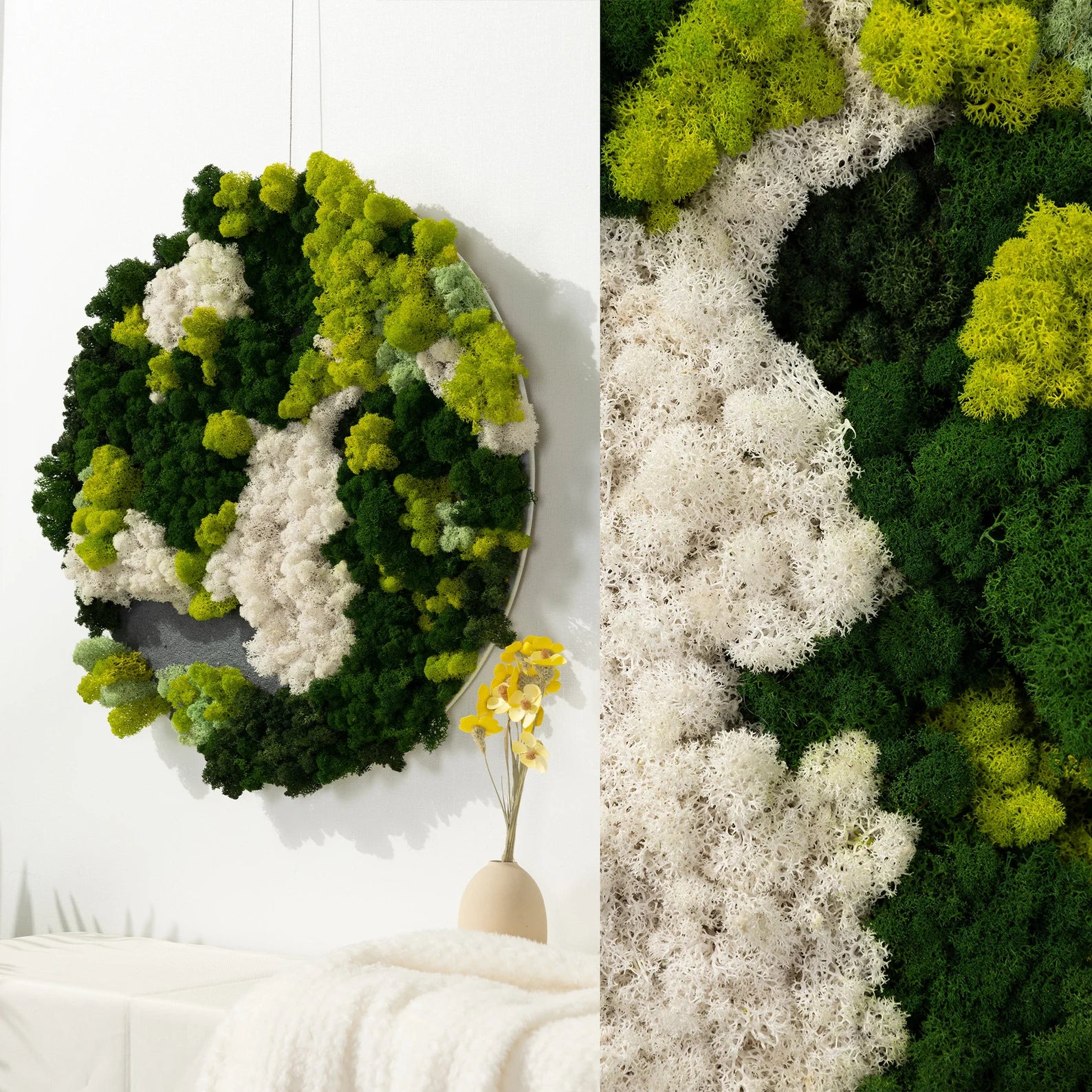 Botanical Moss Wall Art in Frame – Unique Green Living Decor