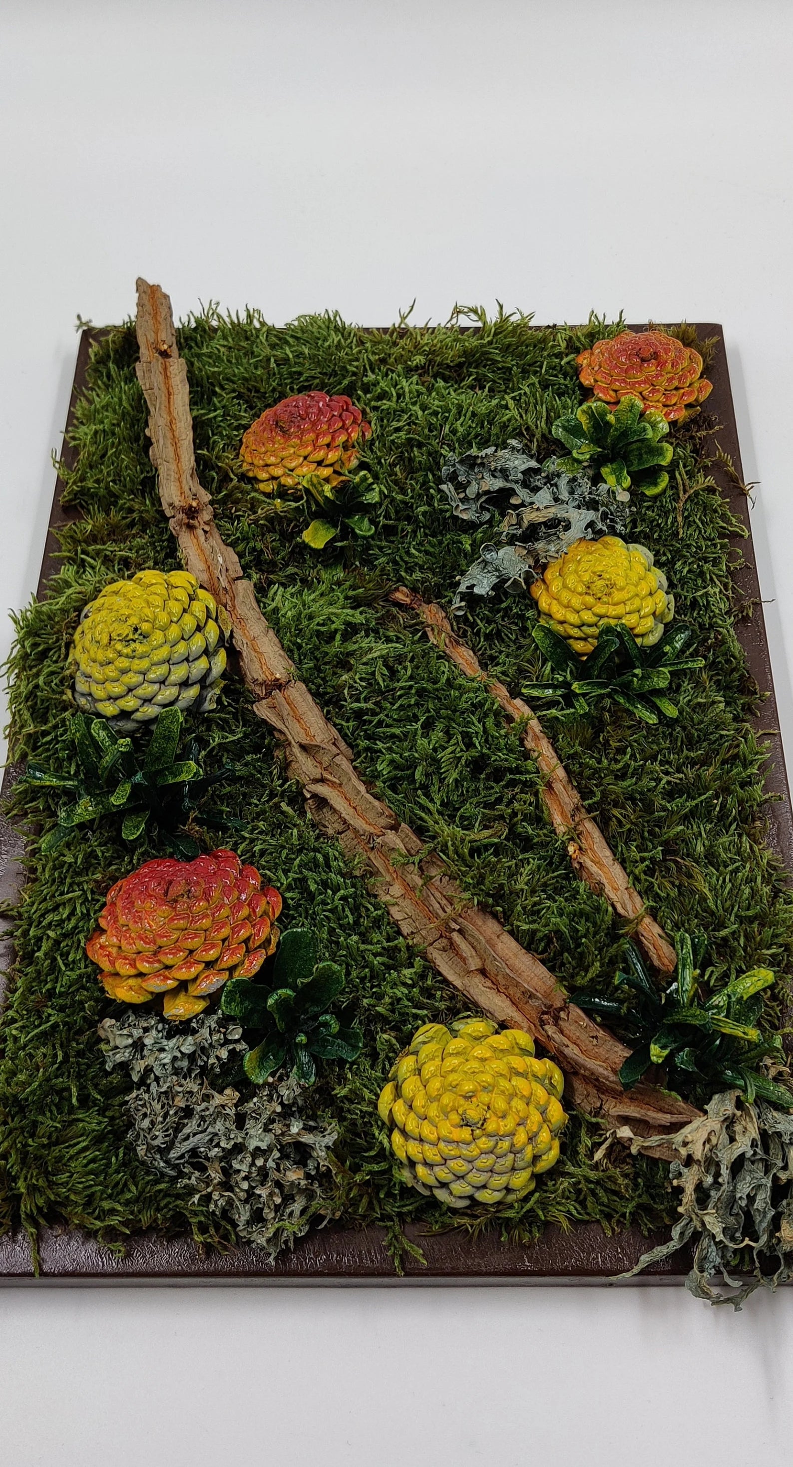 Succulent Wall Décor | Rustic Pine Frame Green Wall Gift