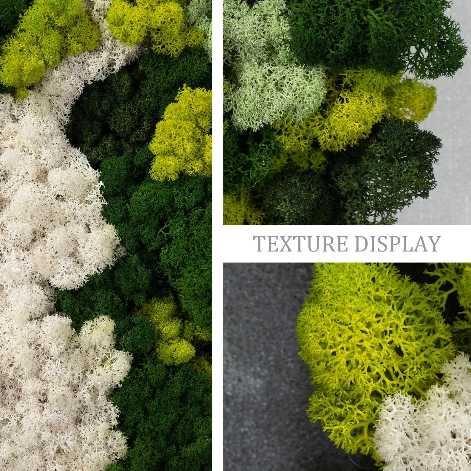 Botanical Moss Wall Art in Frame – Unique Green Living Decor