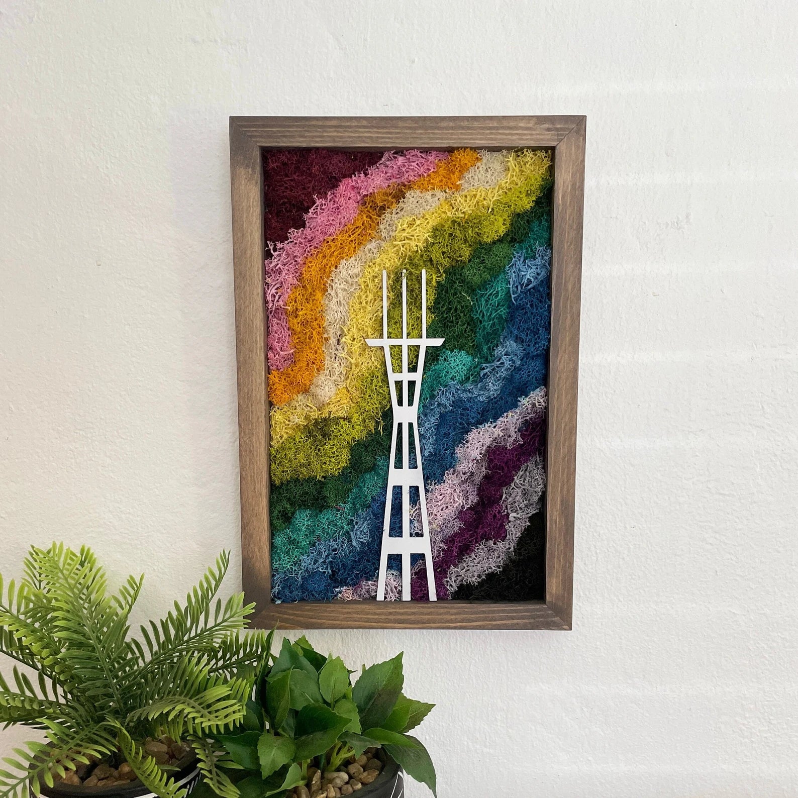 San Francisco Moss Art | Preserved Plants Rainbow Décor