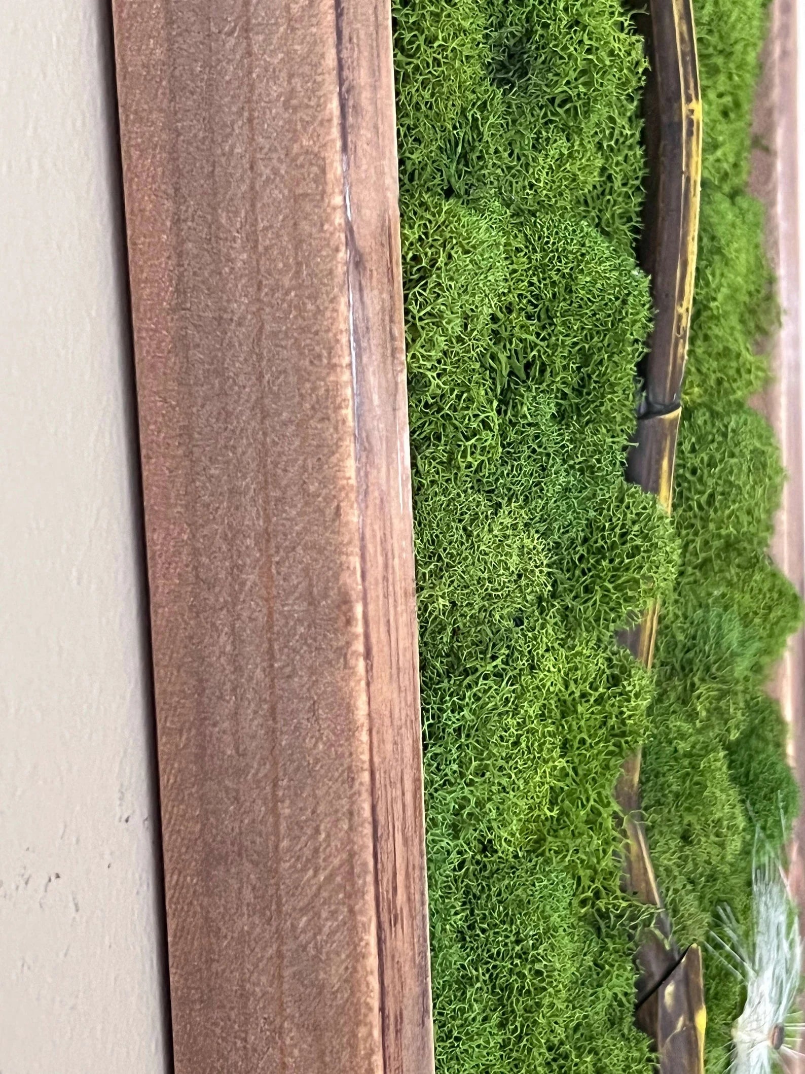 Preserved Moss Wall Art – Dandelion Design, Natural Wood Frame (36x8")