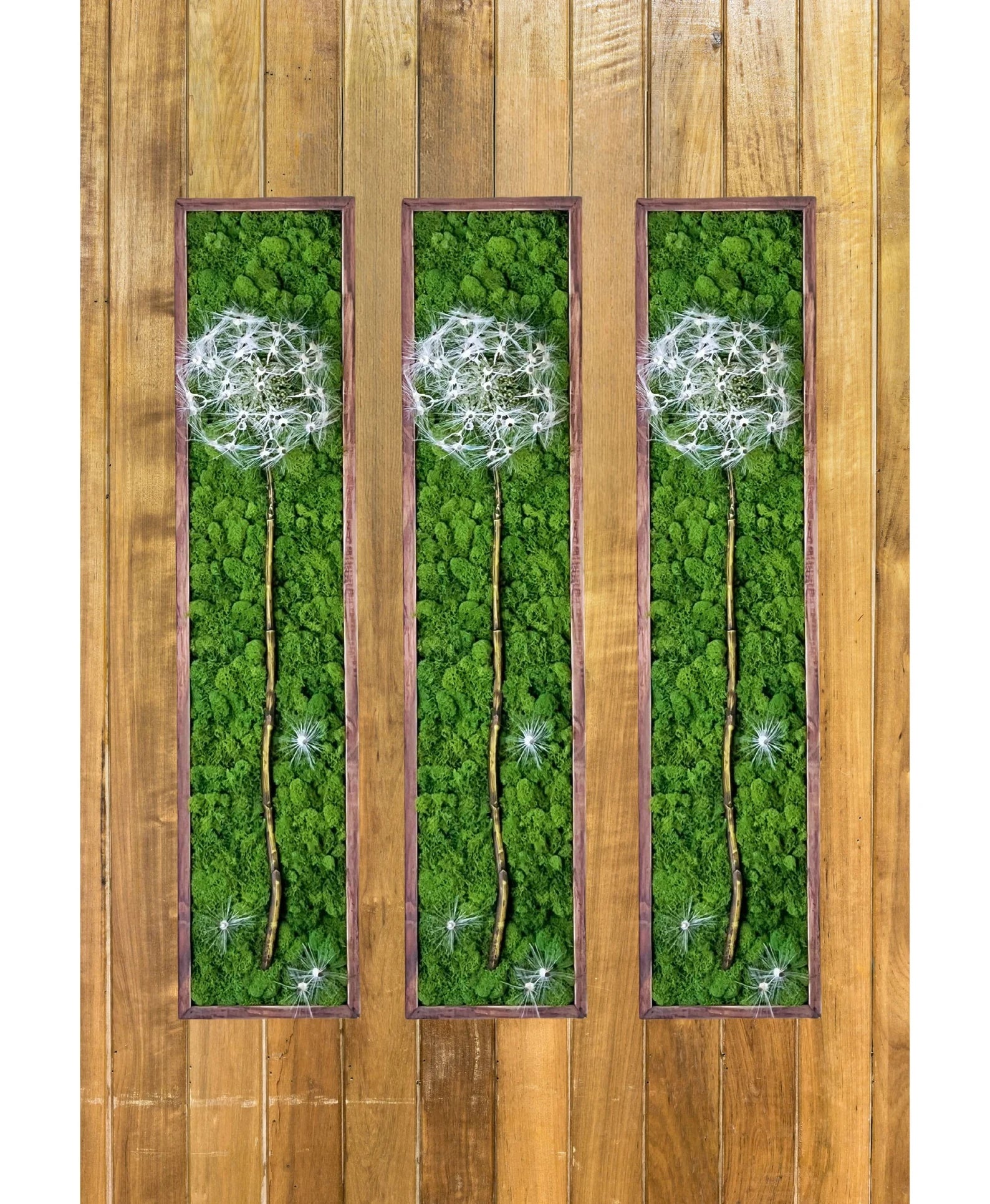 Preserved Moss Wall Art – Dandelion Design, Natural Wood Frame (36x8")