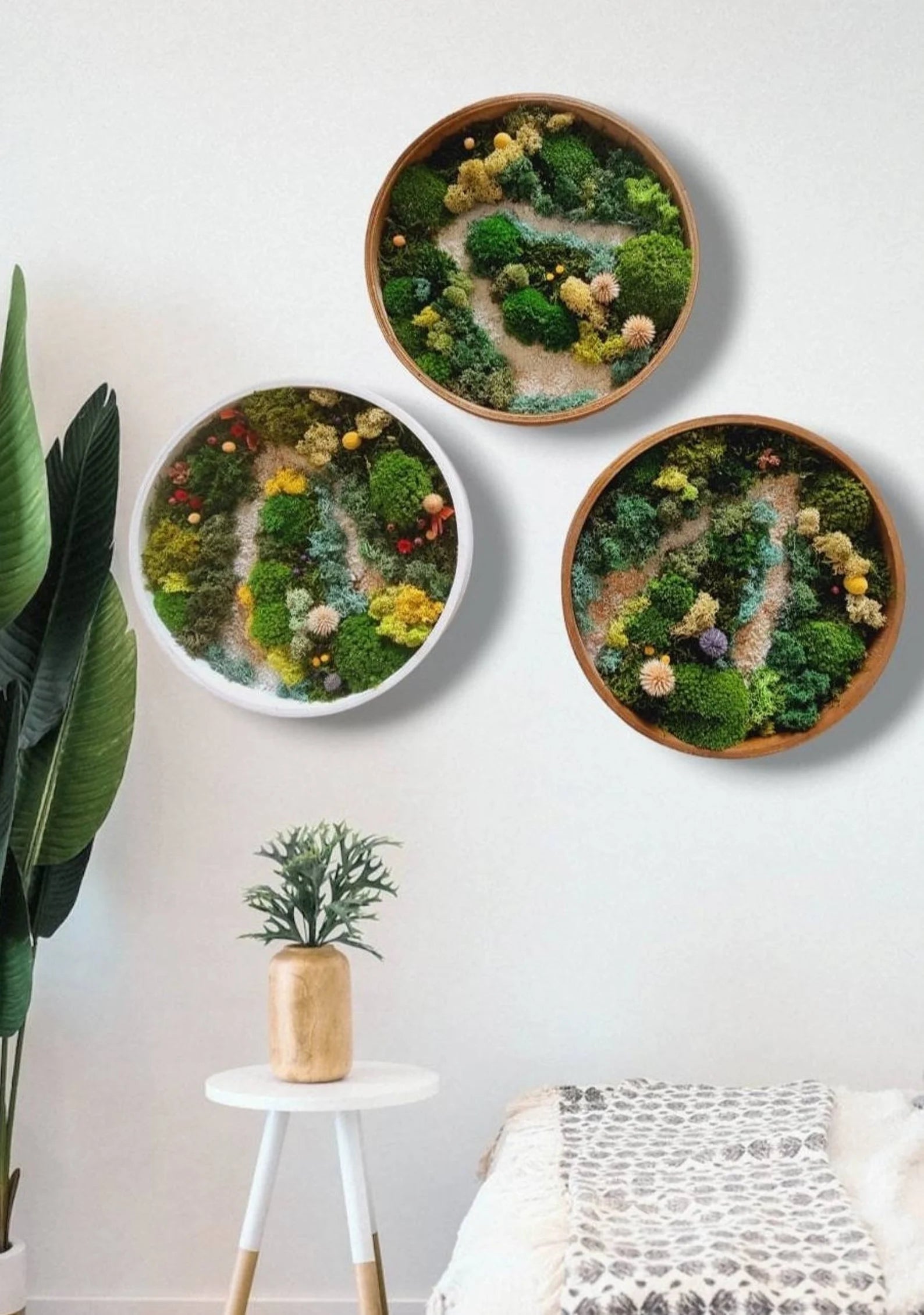 Moss Wall Art Set of Three – Preserved Round Green Wall Decor | Nature-Inspired Living Art for Home