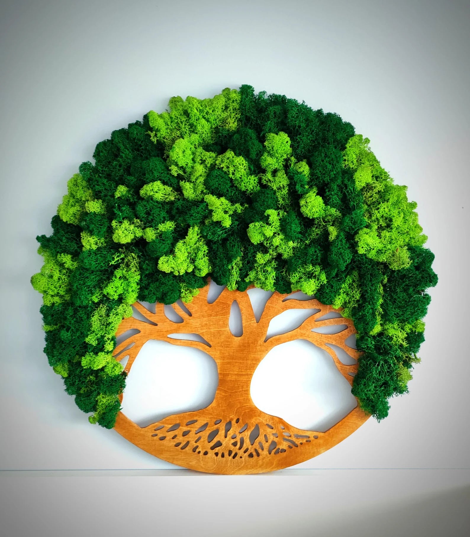 Tree of Life Preserved Reindeer Moss Wall Art – Handmade Decor