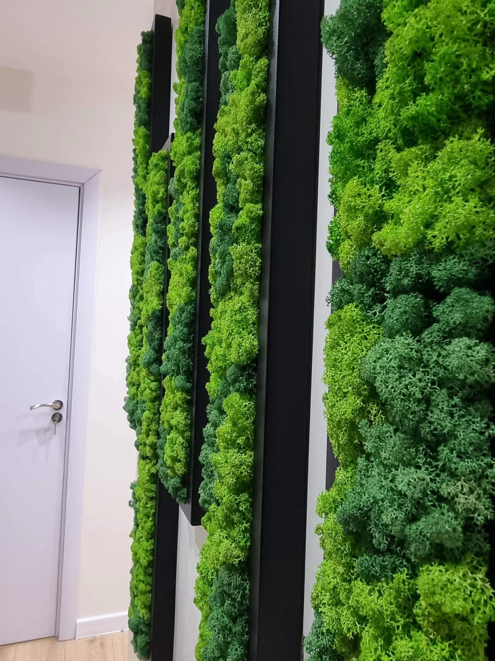 Wooden Moss Panel – Preserved Reindeer Moss Wall Art, Real Moss Wall Hanging for Home Decor