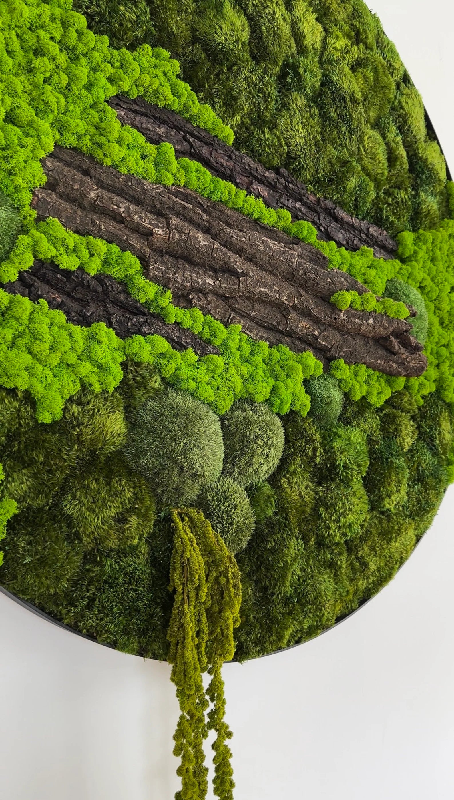 Set of 4 Moss Pictures – Preserved Moss Wall Art | Green Moss Frames for Modern Home & Office Decor