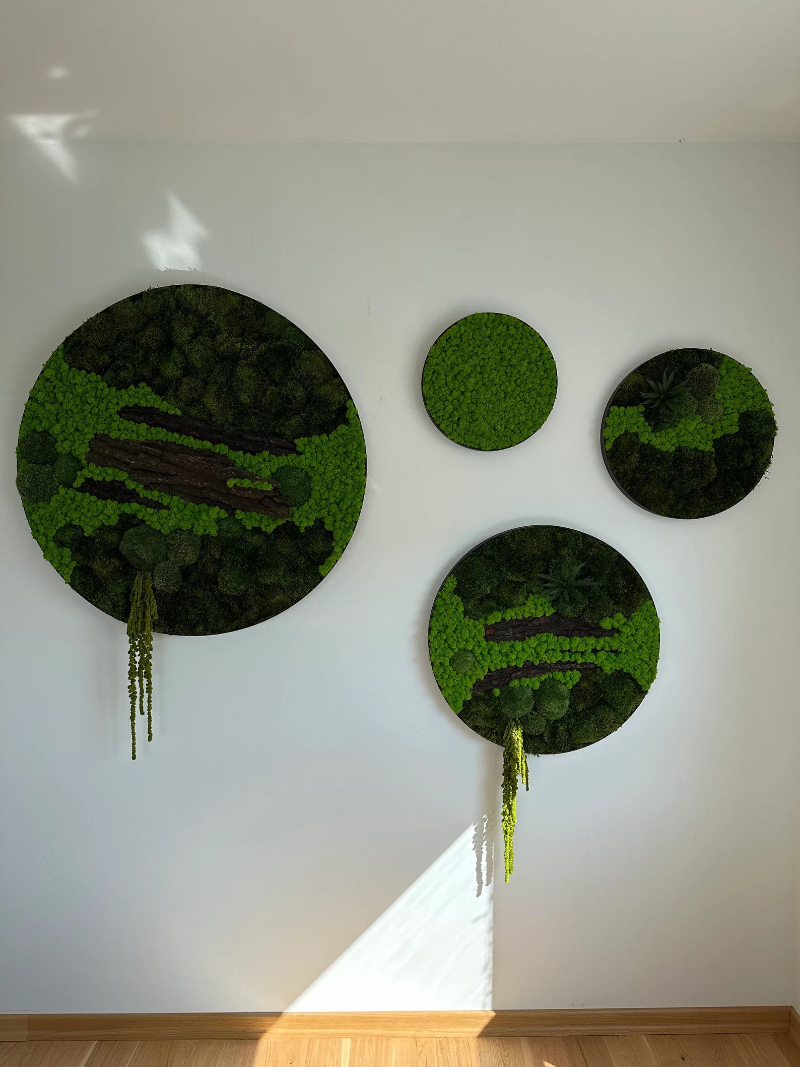 Set of 4 Moss Pictures – Preserved Moss Wall Art | Green Moss Frames for Modern Home & Office Decor