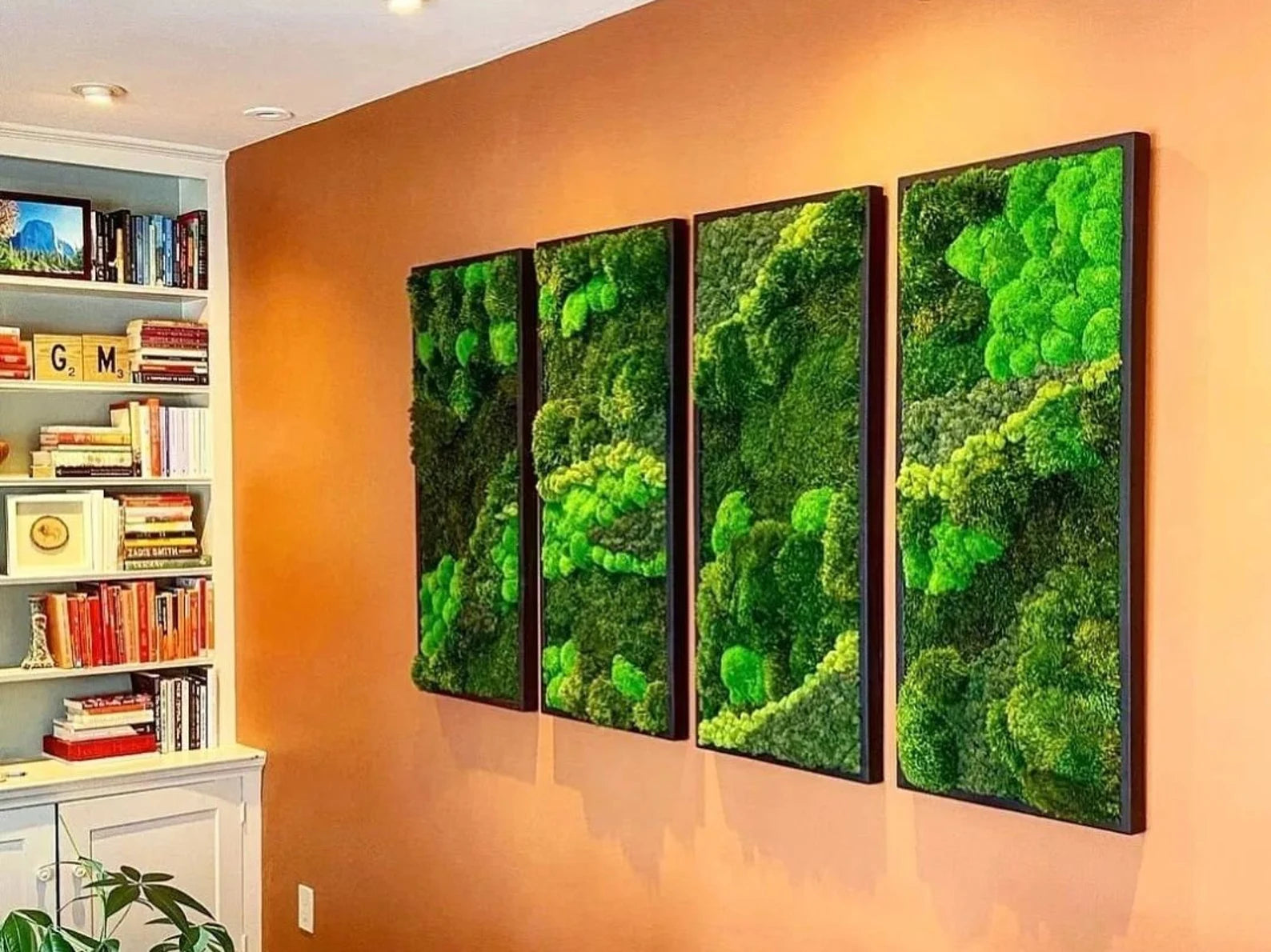 Natural Moss Wall Hanging – Large Real Moss Art for Home, Office & Entryway, No-Maintenance Green Décor