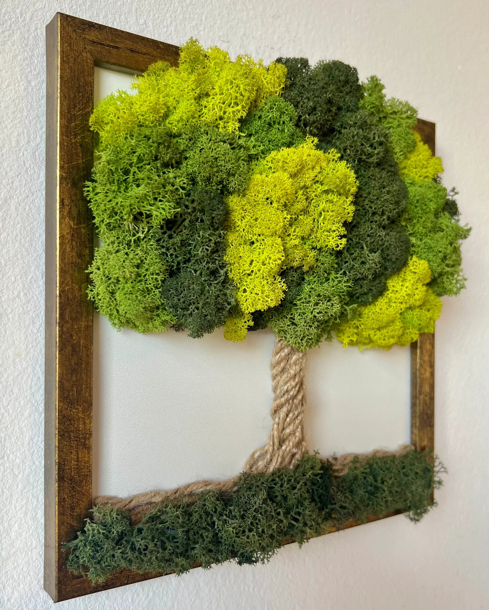 Green Moss Wall Art – Preserved Moss Tree, Tree of Life Wall Decor, Therapy Office and Home Decoration, Spring Nature Gift