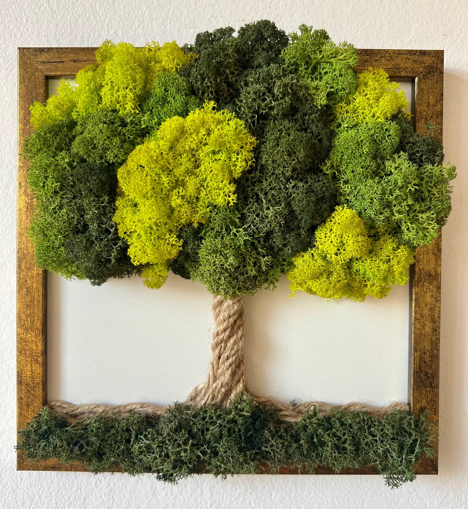 Green Moss Wall Art – Preserved Moss Tree, Tree of Life Wall Decor, Therapy Office and Home Decoration, Spring Nature Gift
