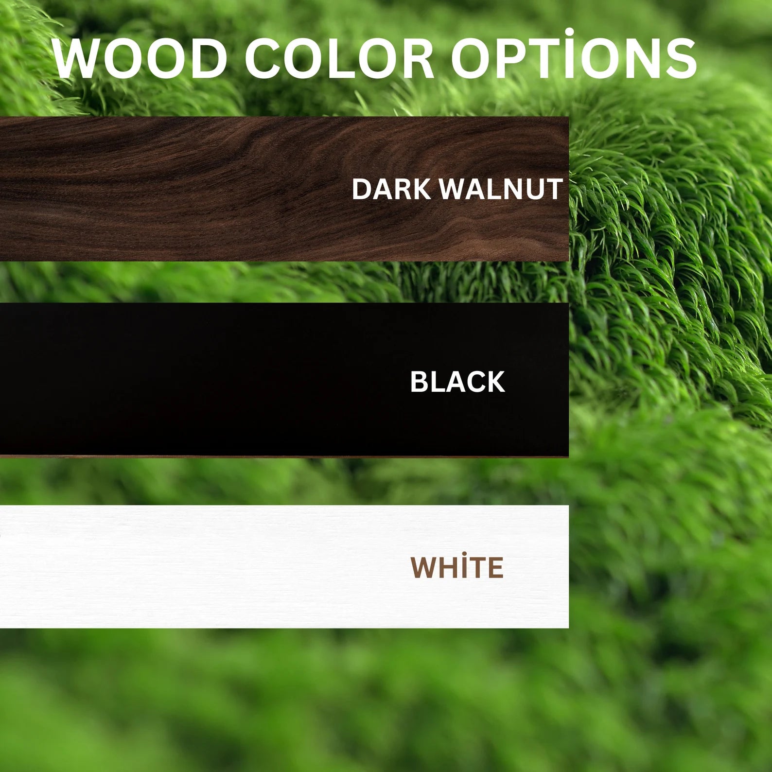 Large Moss Wall Art – Preserved Green Decor in Pine Wood Frame