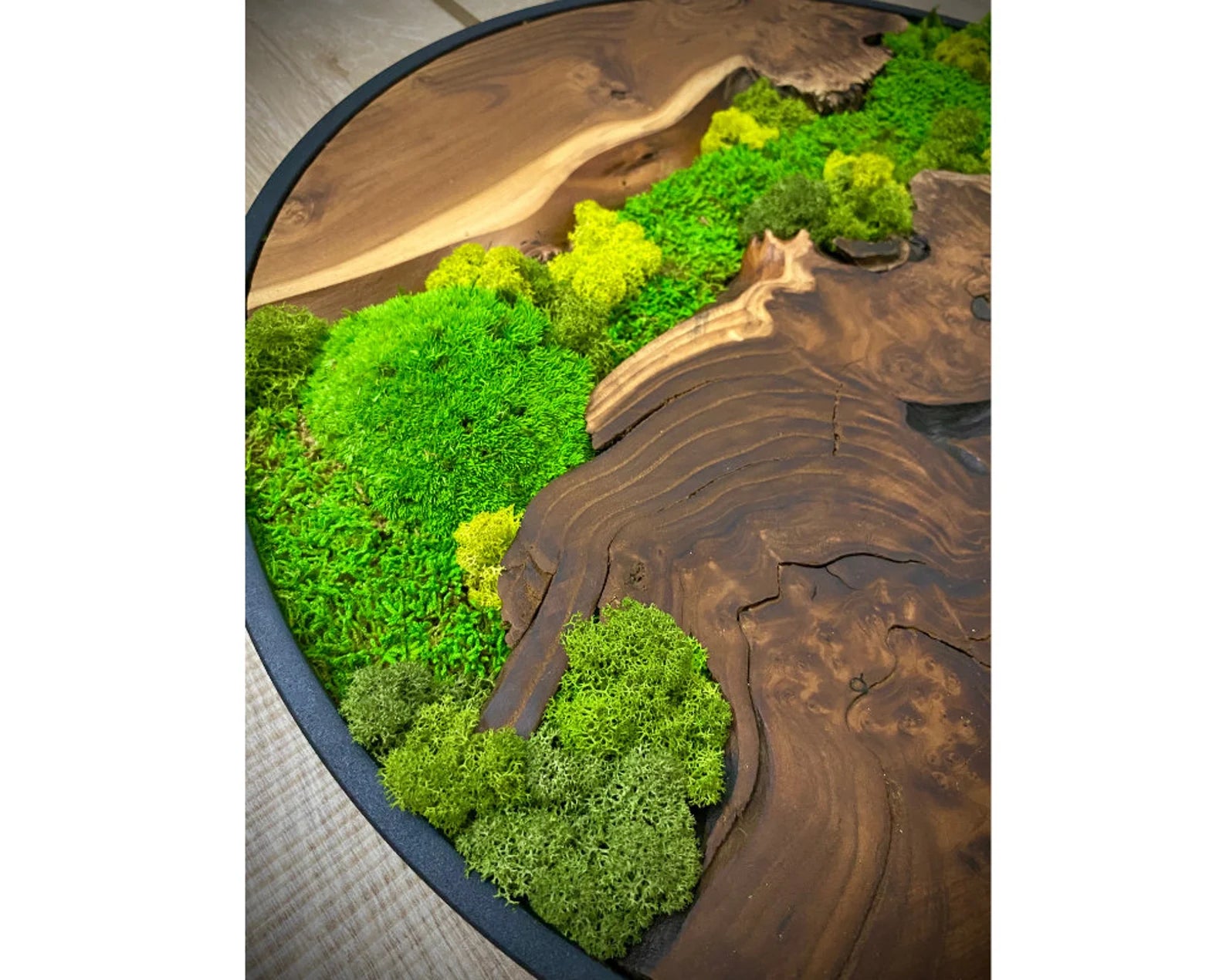 Olive Wood & Preserved Moss Art: Unique Wall Hanging Decor