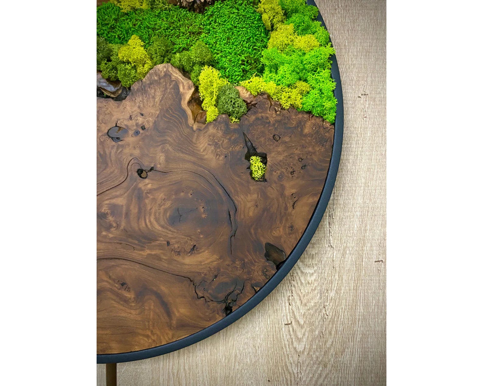 Olive Wood & Preserved Moss Art: Unique Wall Hanging Decor