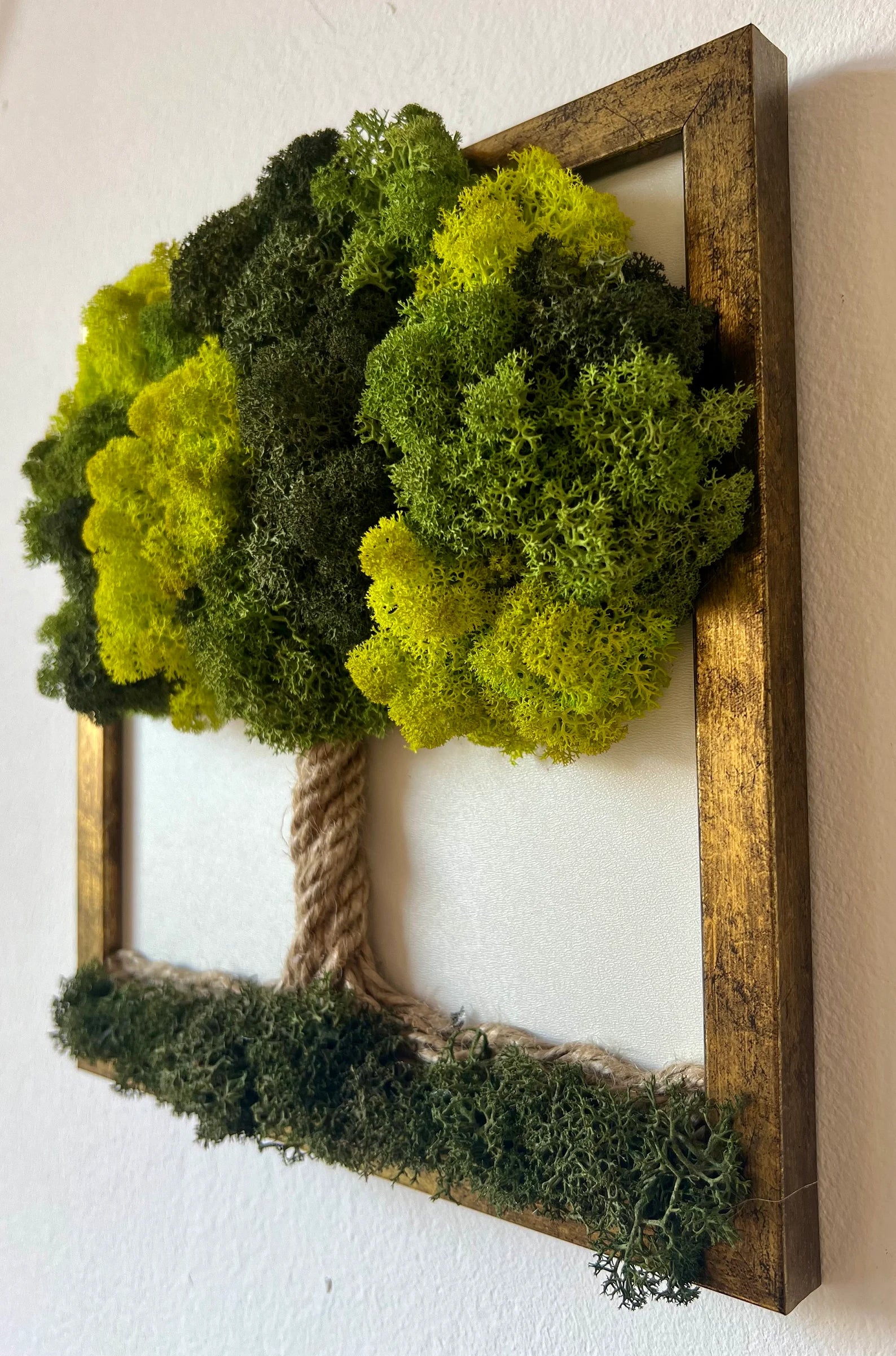 Green Moss Wall Art – Preserved Moss Tree, Tree of Life Wall Decor, Therapy Office and Home Decoration, Spring Nature Gift