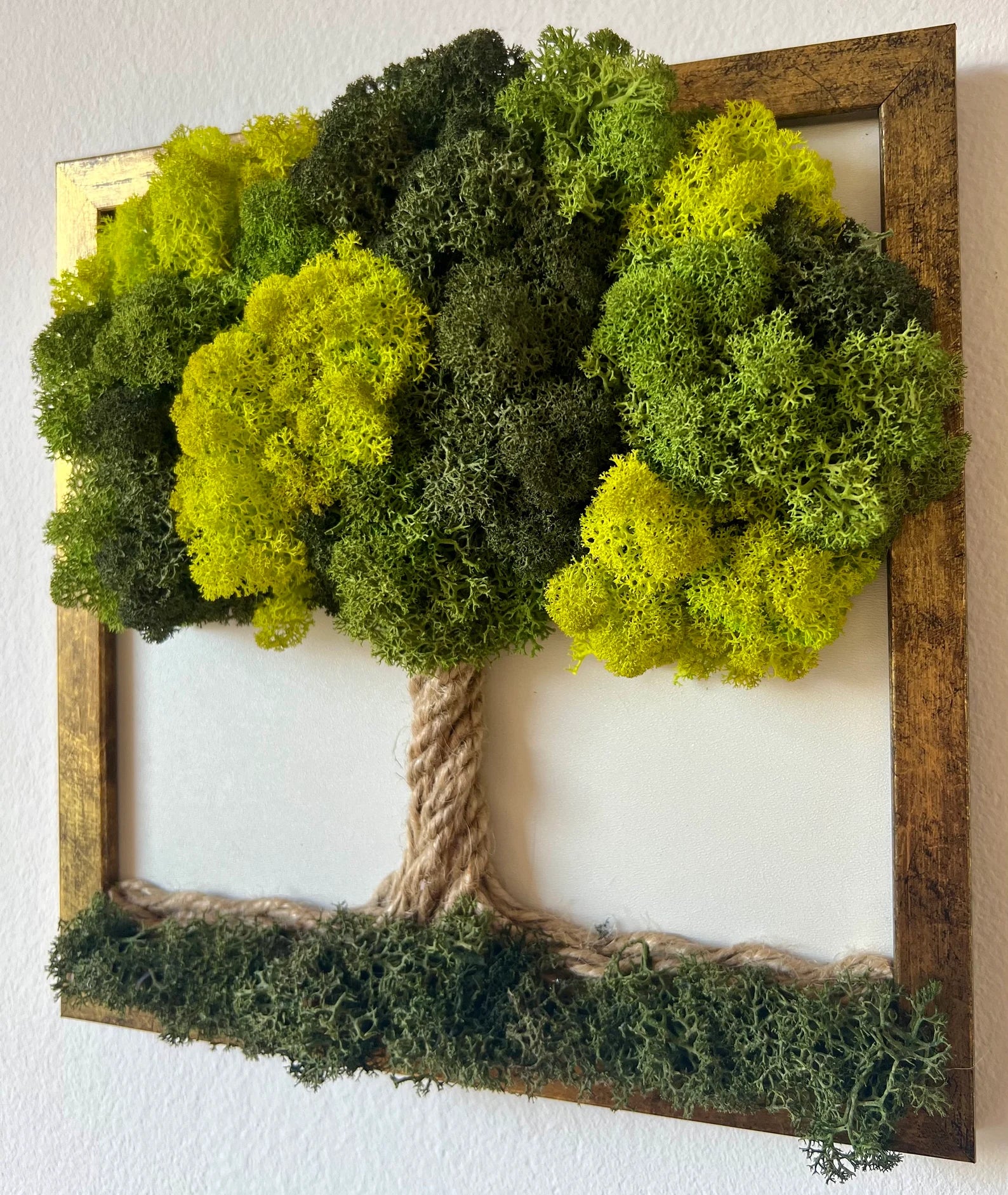 Green Moss Wall Art – Preserved Moss Tree, Tree of Life Wall Decor, Therapy Office and Home Decoration, Spring Nature Gift