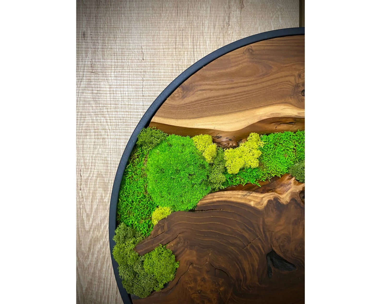Olive Wood & Preserved Moss Art: Unique Wall Hanging Decor