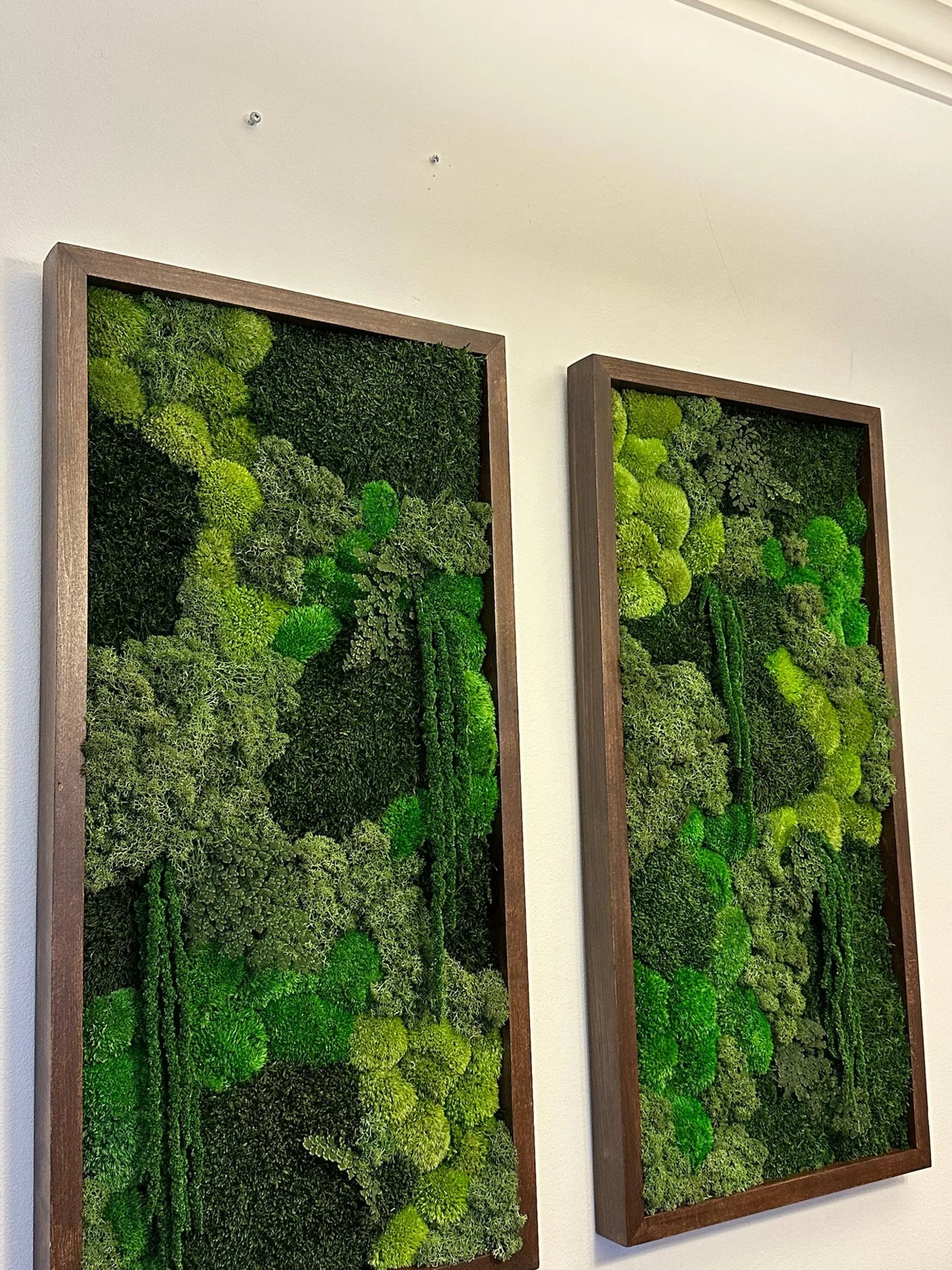 Large Rectangle Moss Wall Art – Preserved Green Moss Decor with Wood Frame | Sets of 1–4