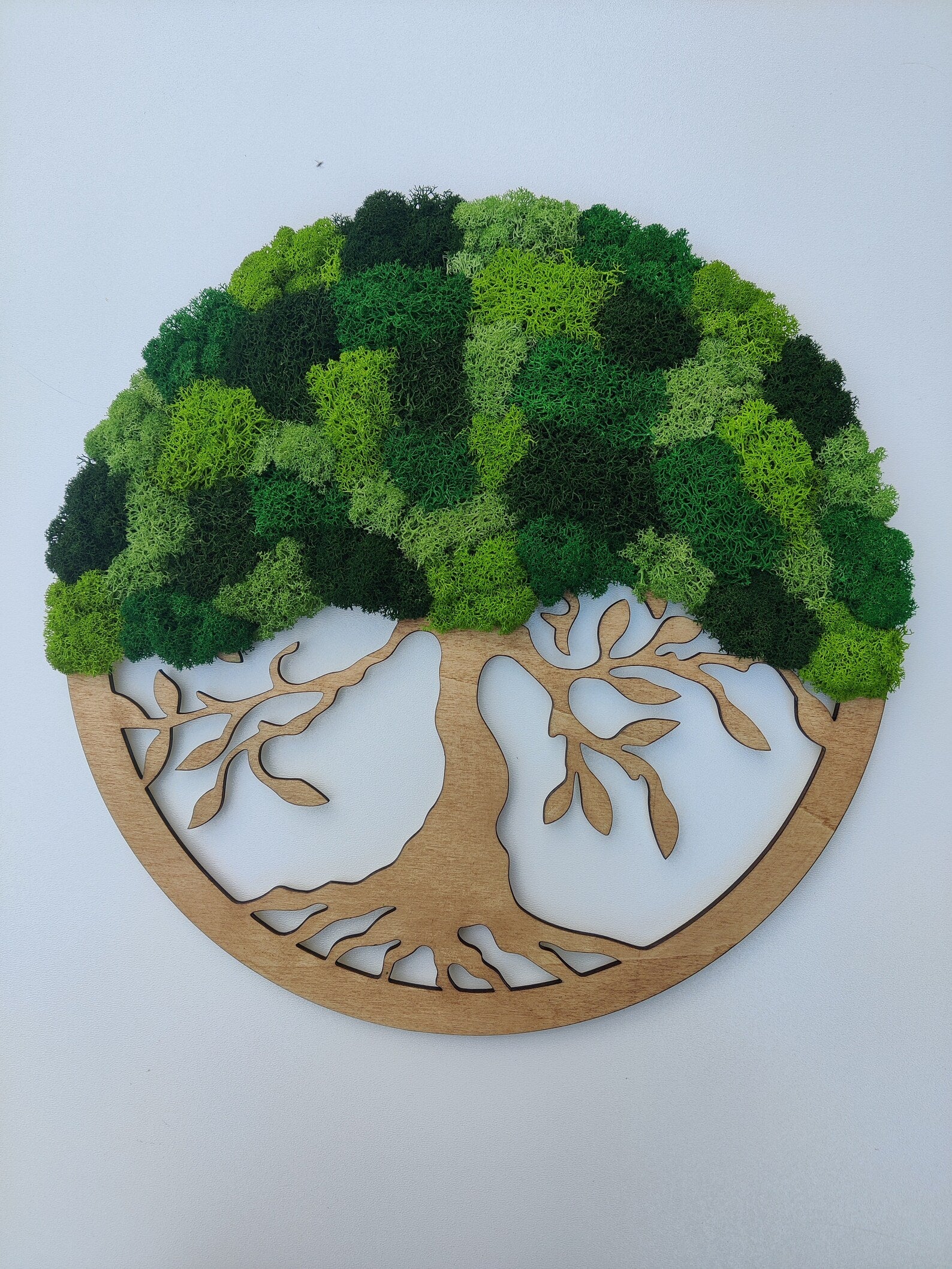 Moss Tree of Life Wall Art – Handmade Green Moss Wall Decor | Natural Home Decoration