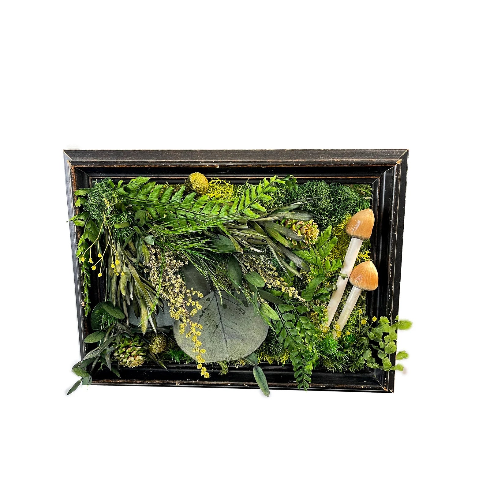 Repurposed Vintage Frame | Moss and Mushroom Wall Art