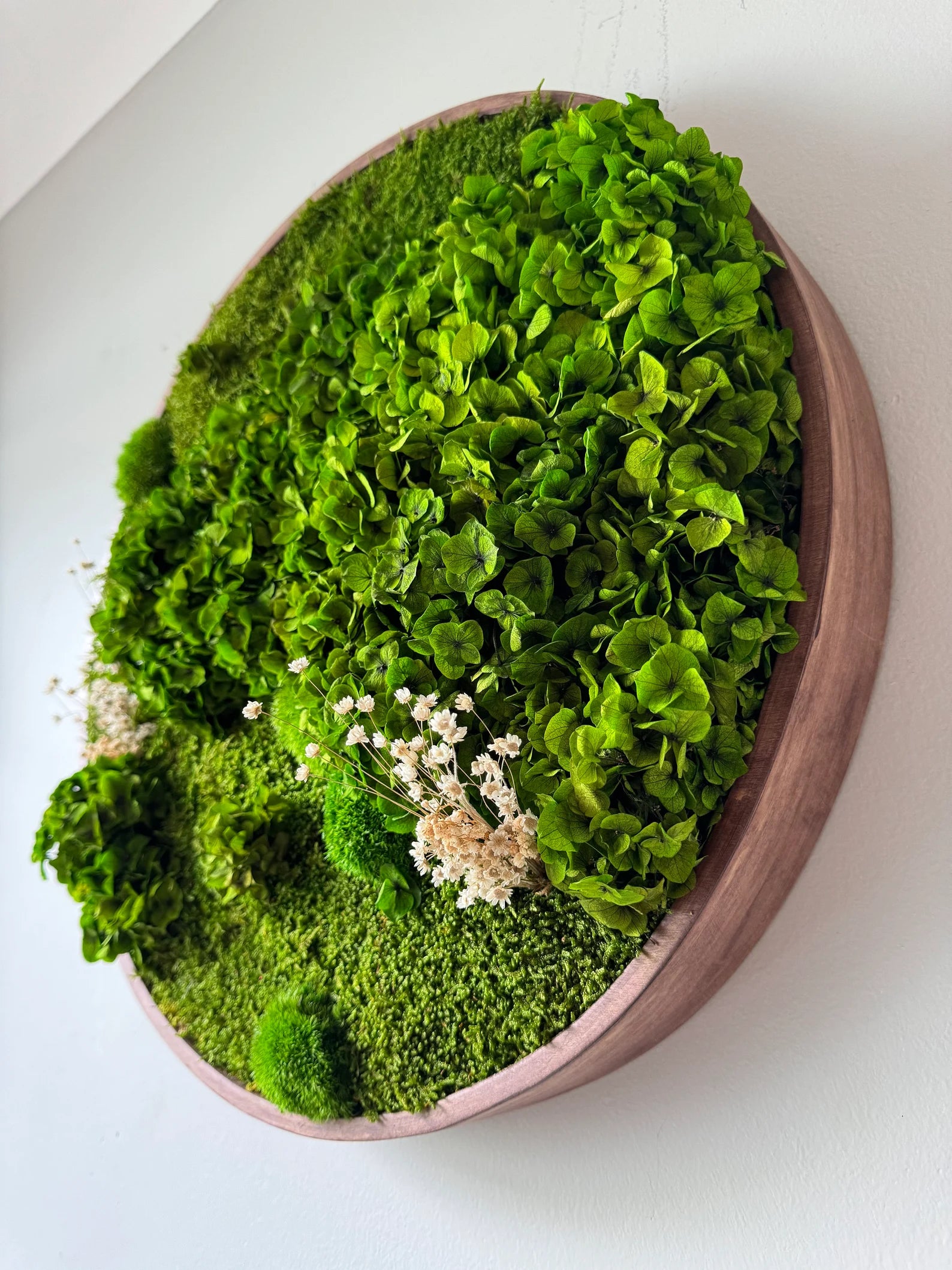 Round Moss Wall Art – Preserved Green Moss Decor | Circular Living Wall Design