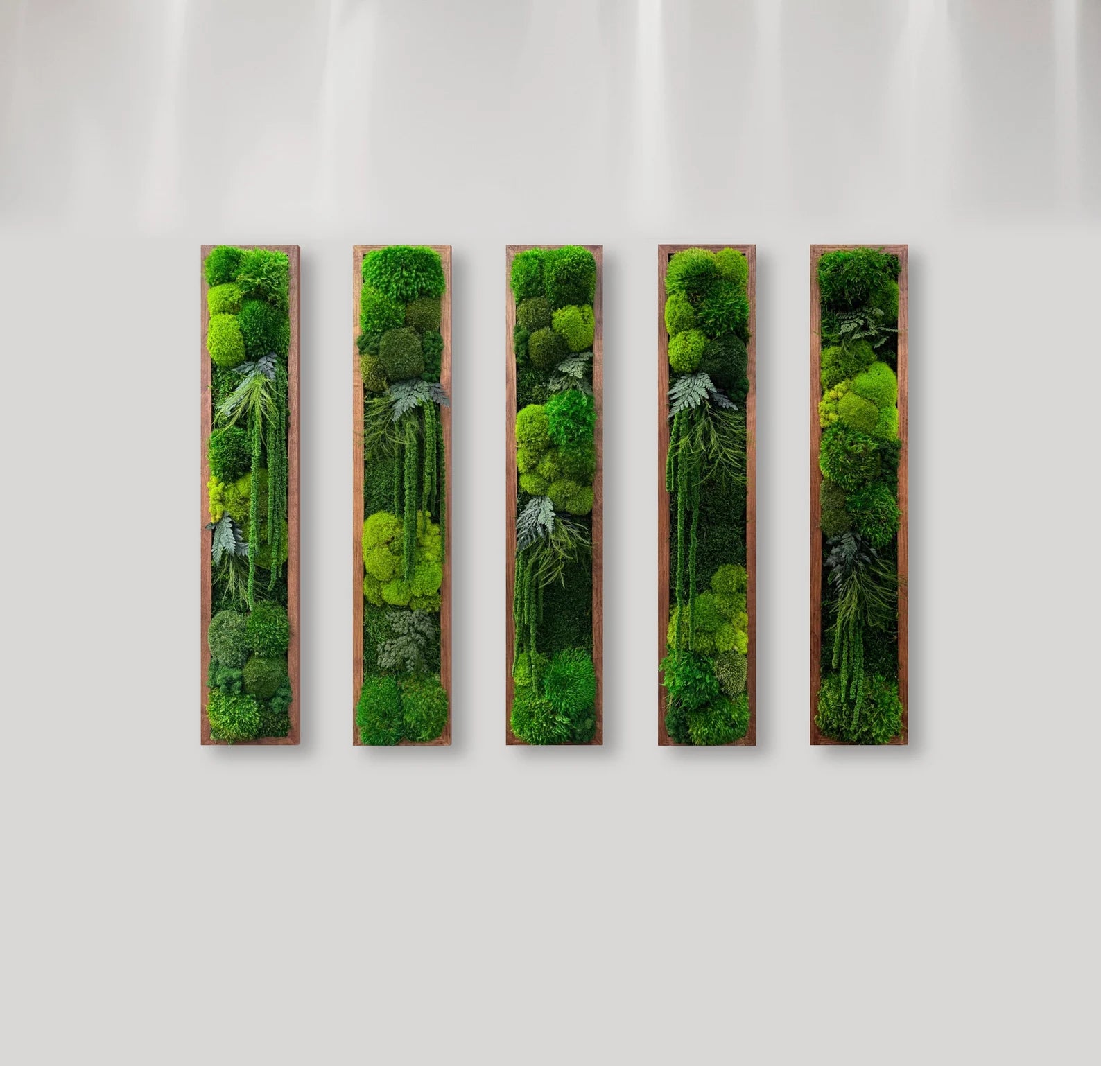 Preserved Moss Wall Art – Natural Greenery Panel with Ferns | Moss Wall Decor